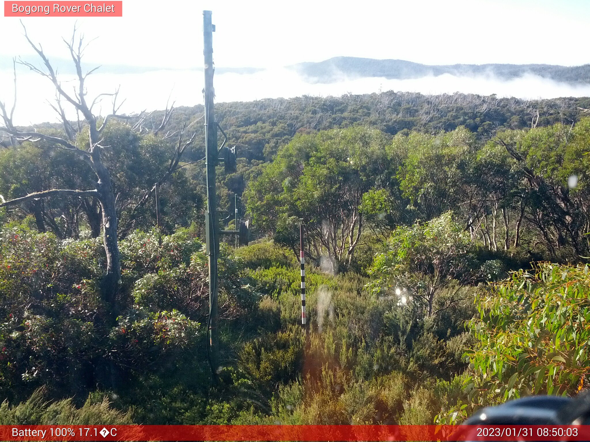 Bogong Web Cam 8:50am Tuesday 31st of January 2023