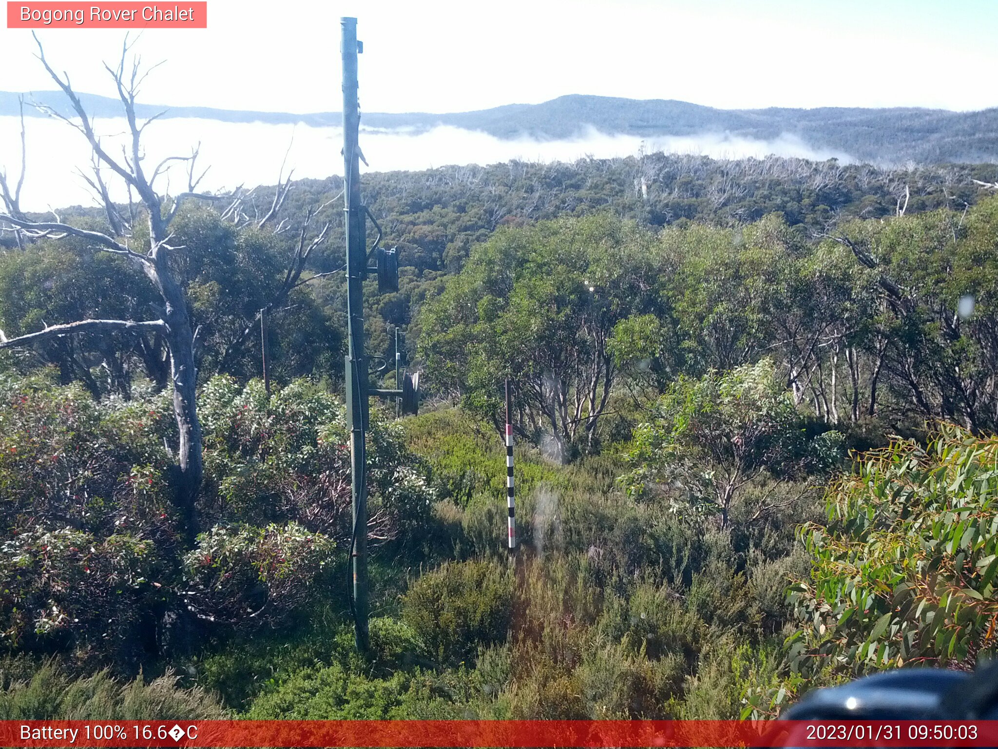 Bogong Web Cam 9:50am Tuesday 31st of January 2023