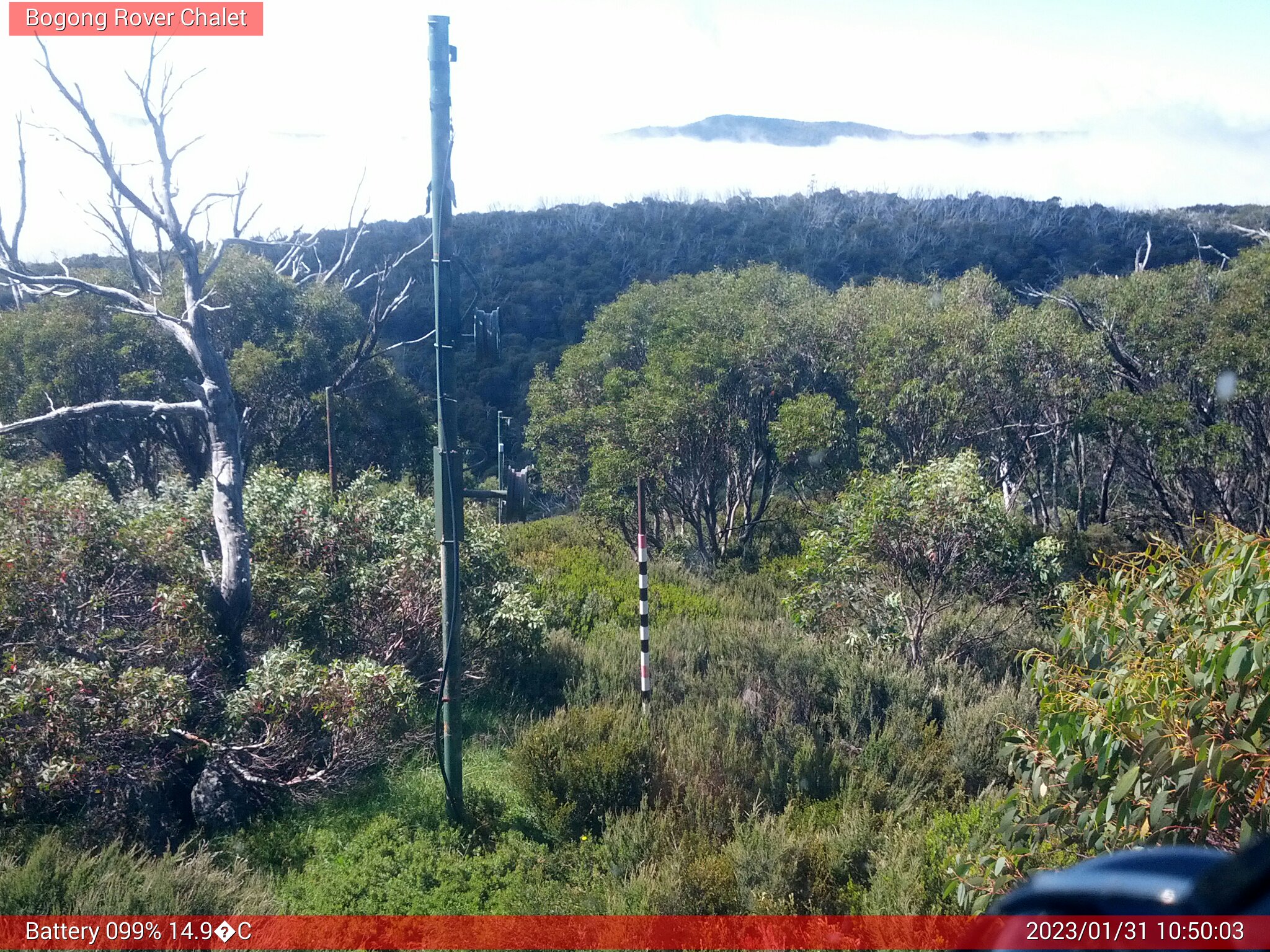 Bogong Web Cam 10:50am Tuesday 31st of January 2023