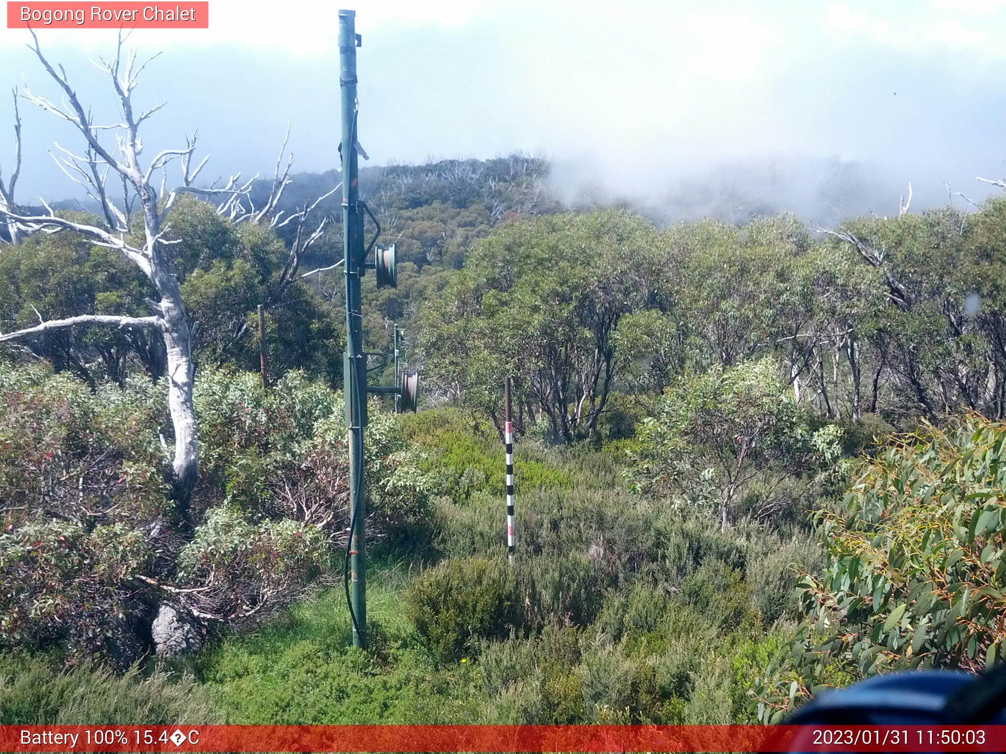 Bogong Web Cam 11:50am Tuesday 31st of January 2023