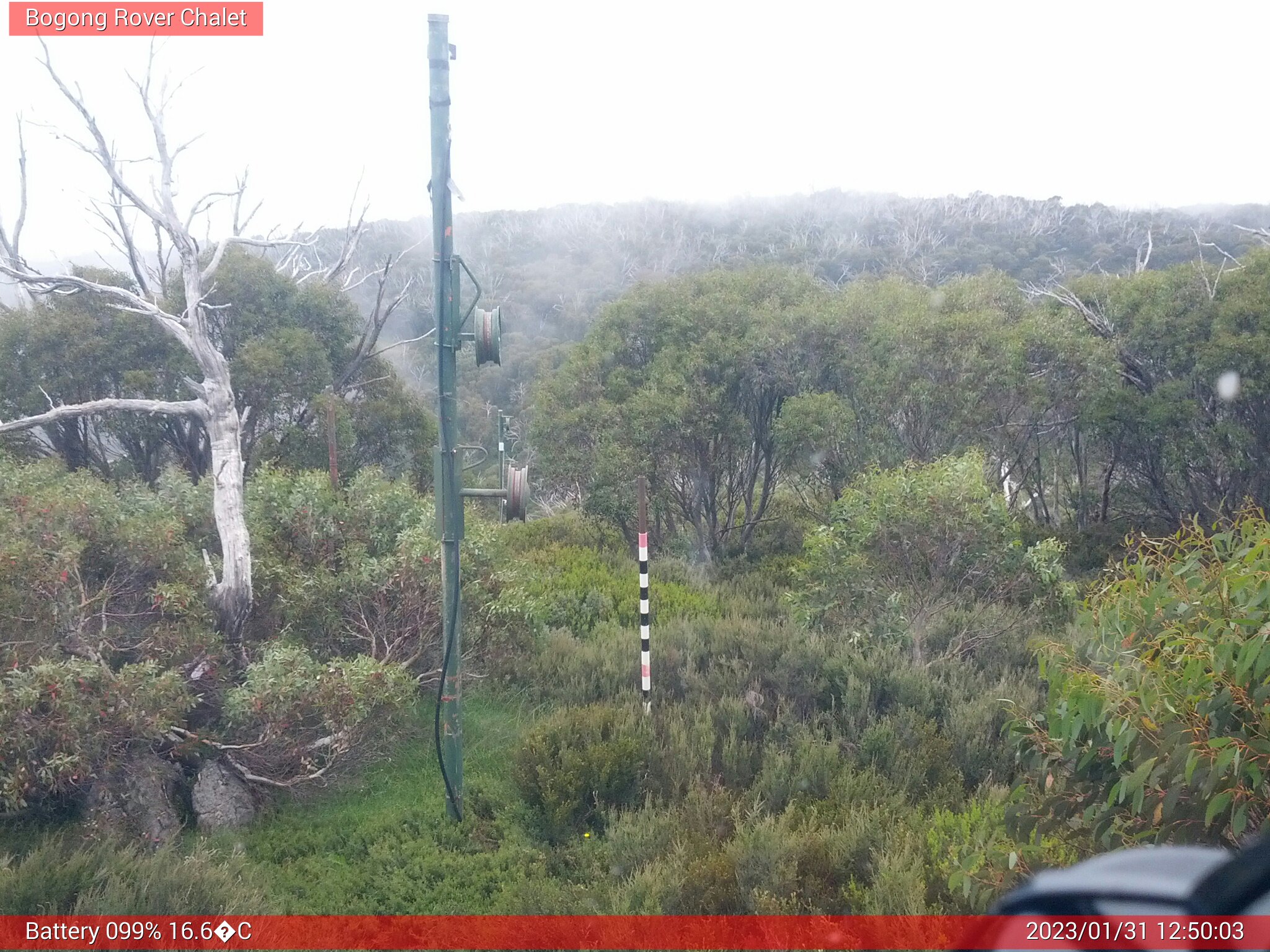 Bogong Web Cam 12:50pm Tuesday 31st of January 2023