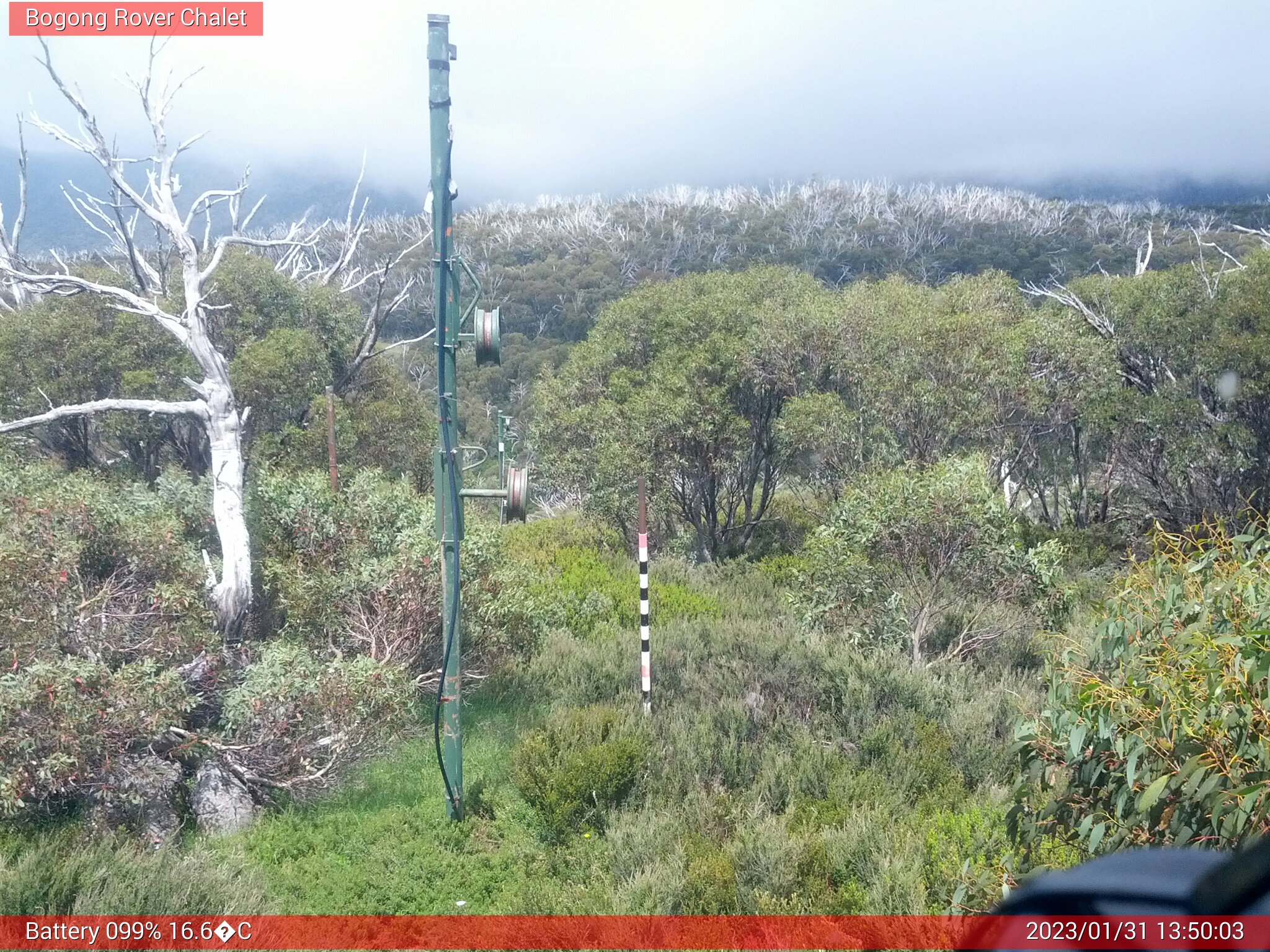 Bogong Web Cam 1:50pm Tuesday 31st of January 2023