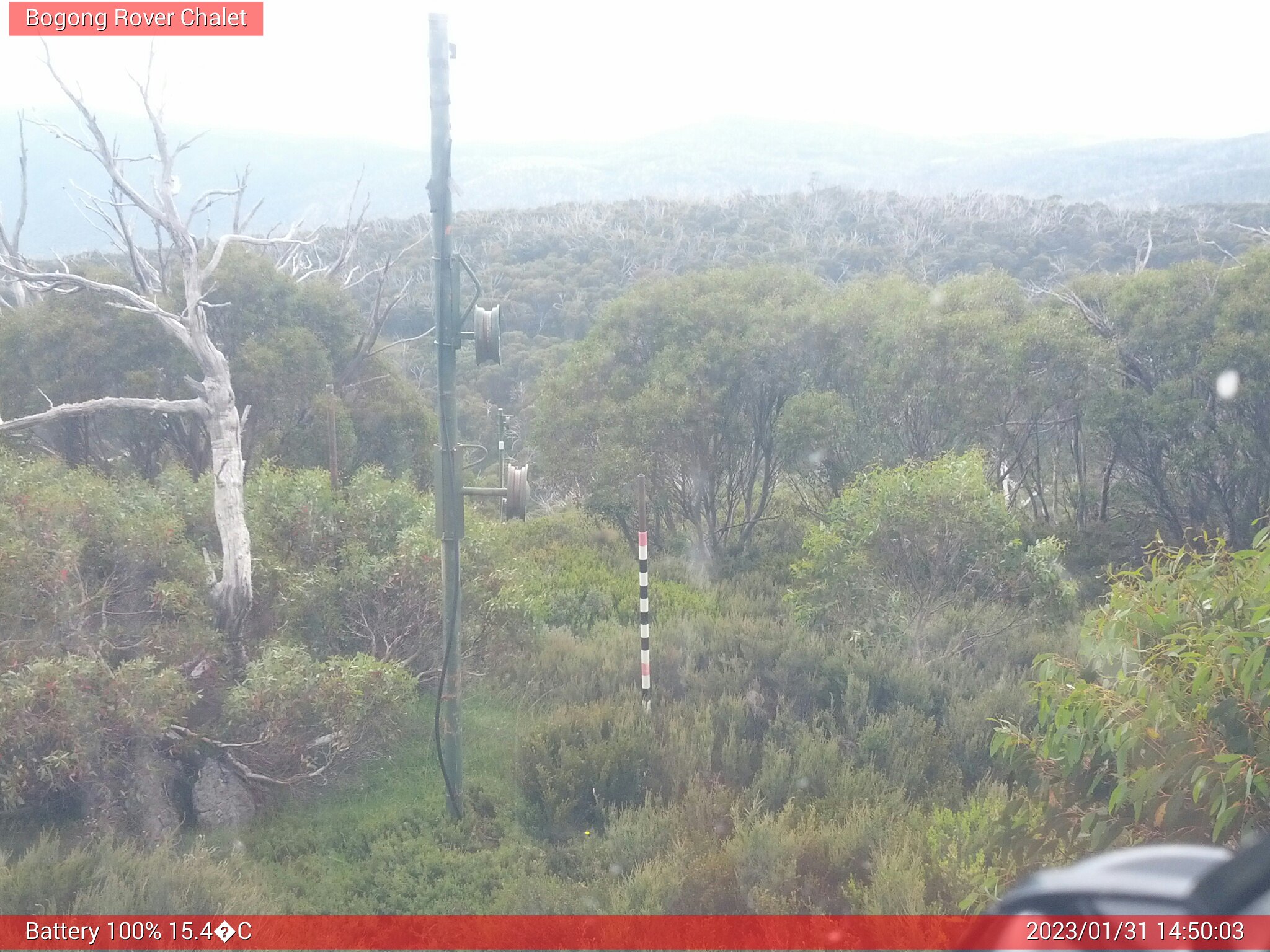 Bogong Web Cam 2:50pm Tuesday 31st of January 2023