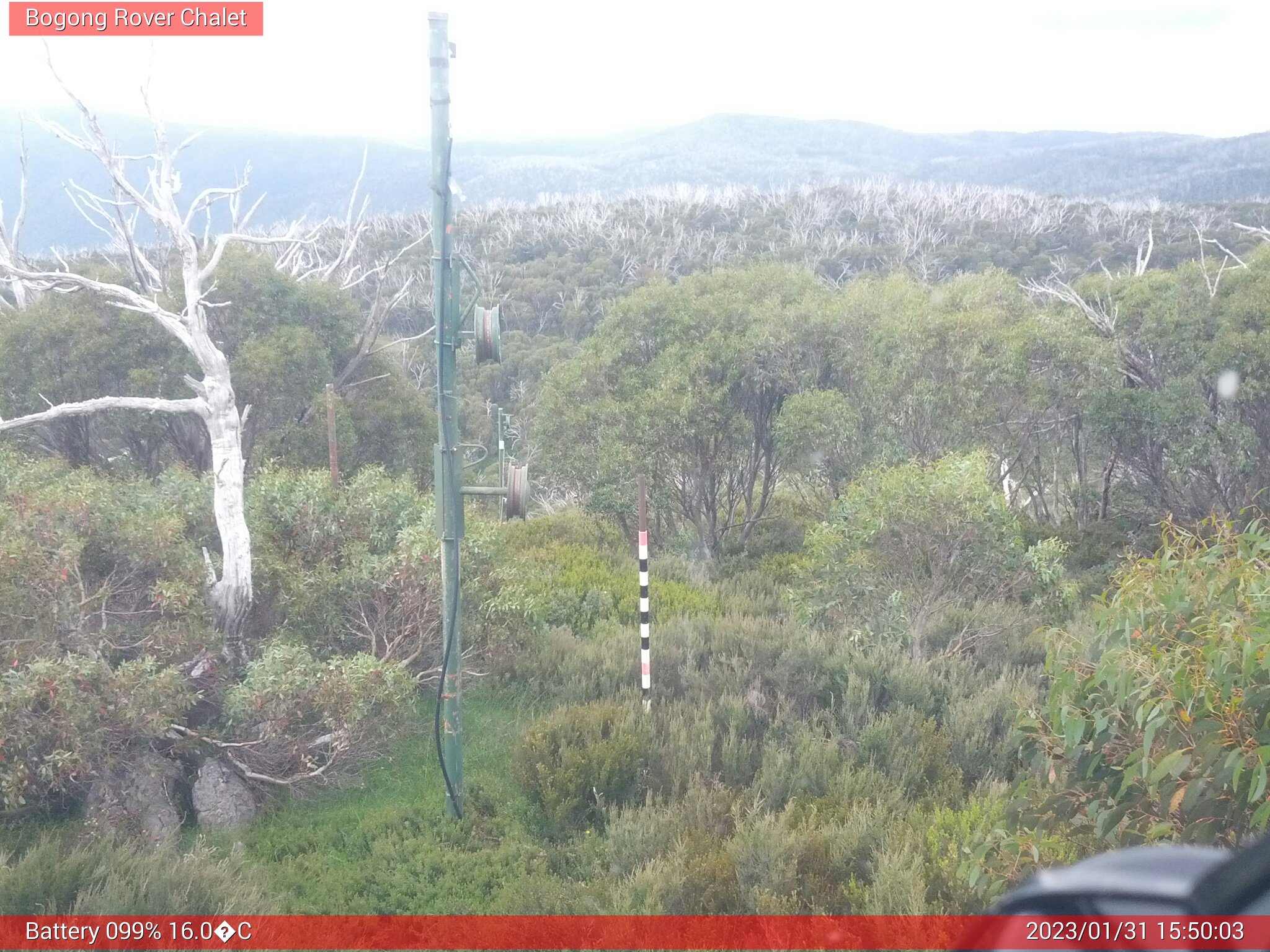 Bogong Web Cam 3:50pm Tuesday 31st of January 2023