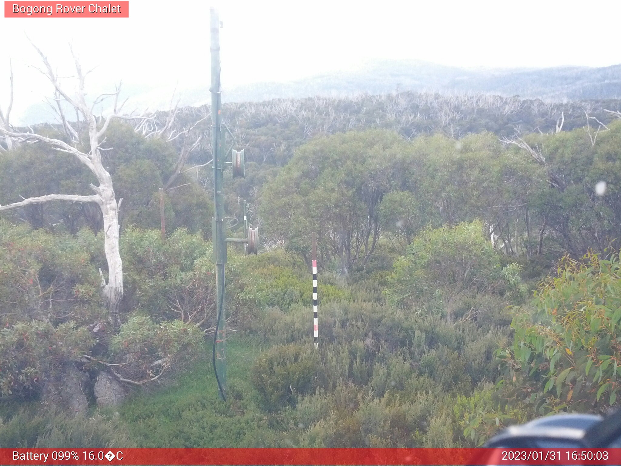 Bogong Web Cam 4:50pm Tuesday 31st of January 2023