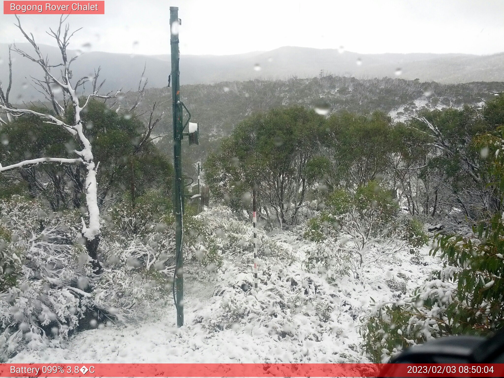 Bogong Web Cam 8:50am Friday 3rd of February 2023