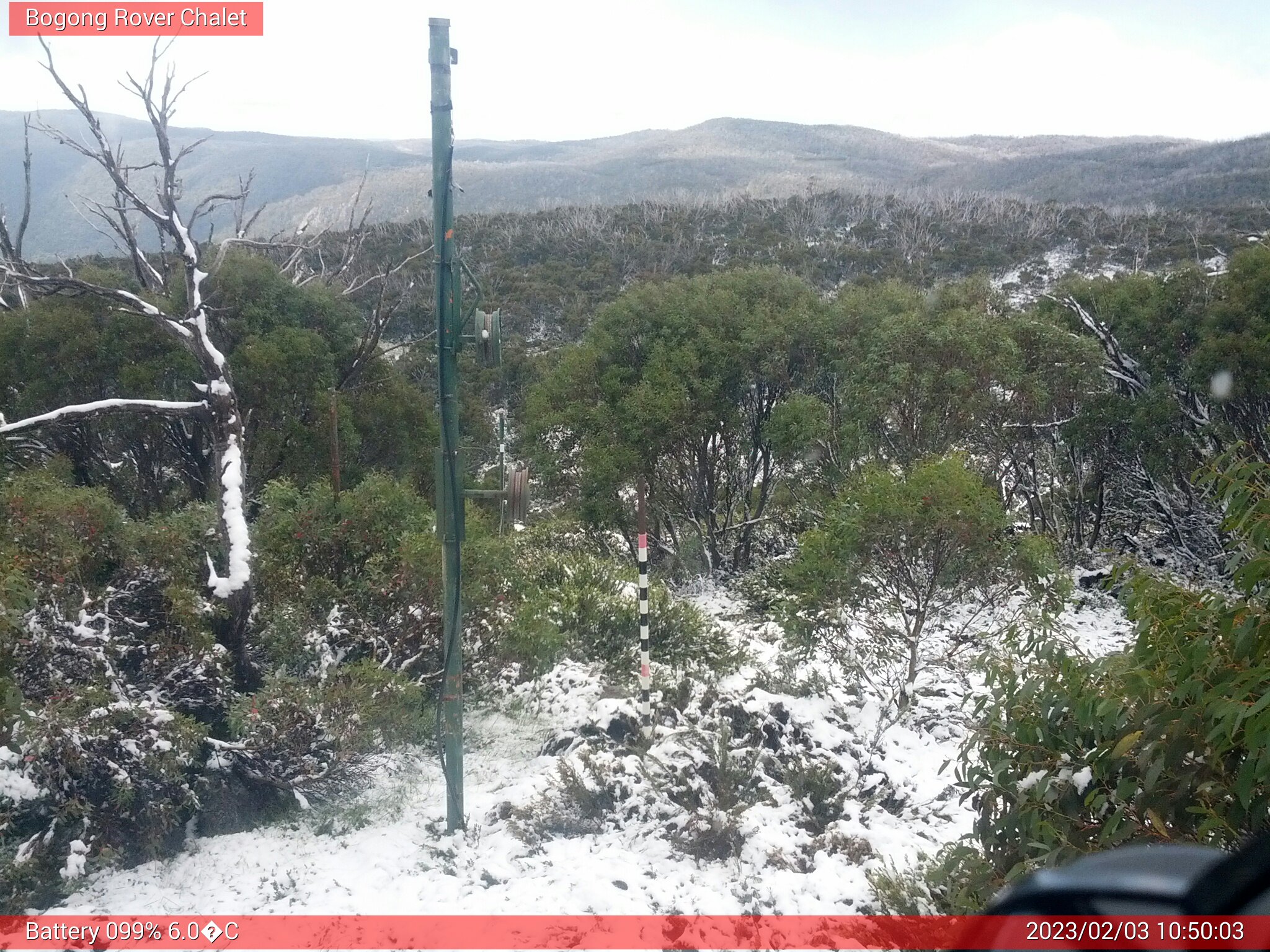 Bogong Web Cam 10:50am Friday 3rd of February 2023