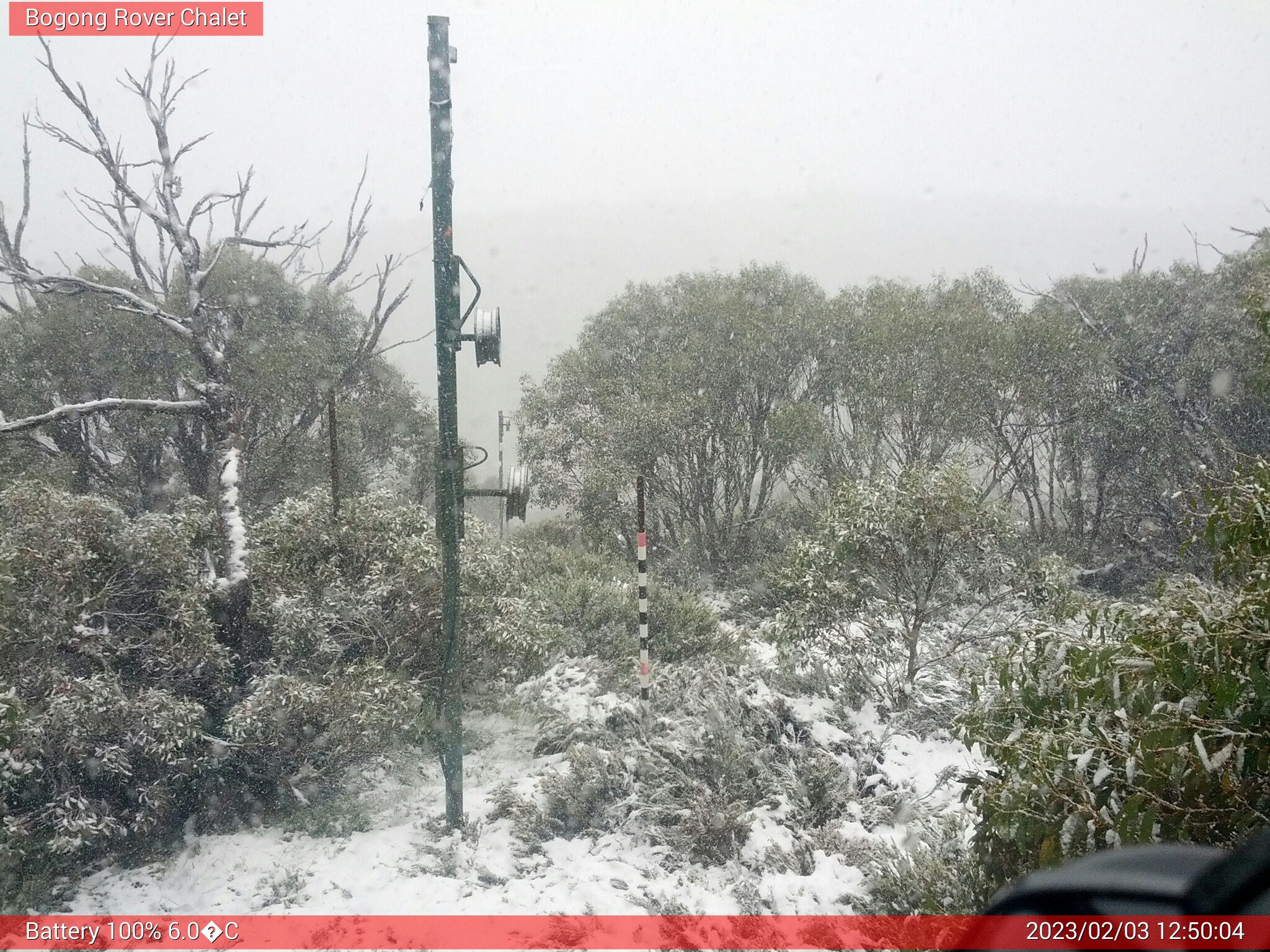 Bogong Web Cam 12:50pm Friday 3rd of February 2023