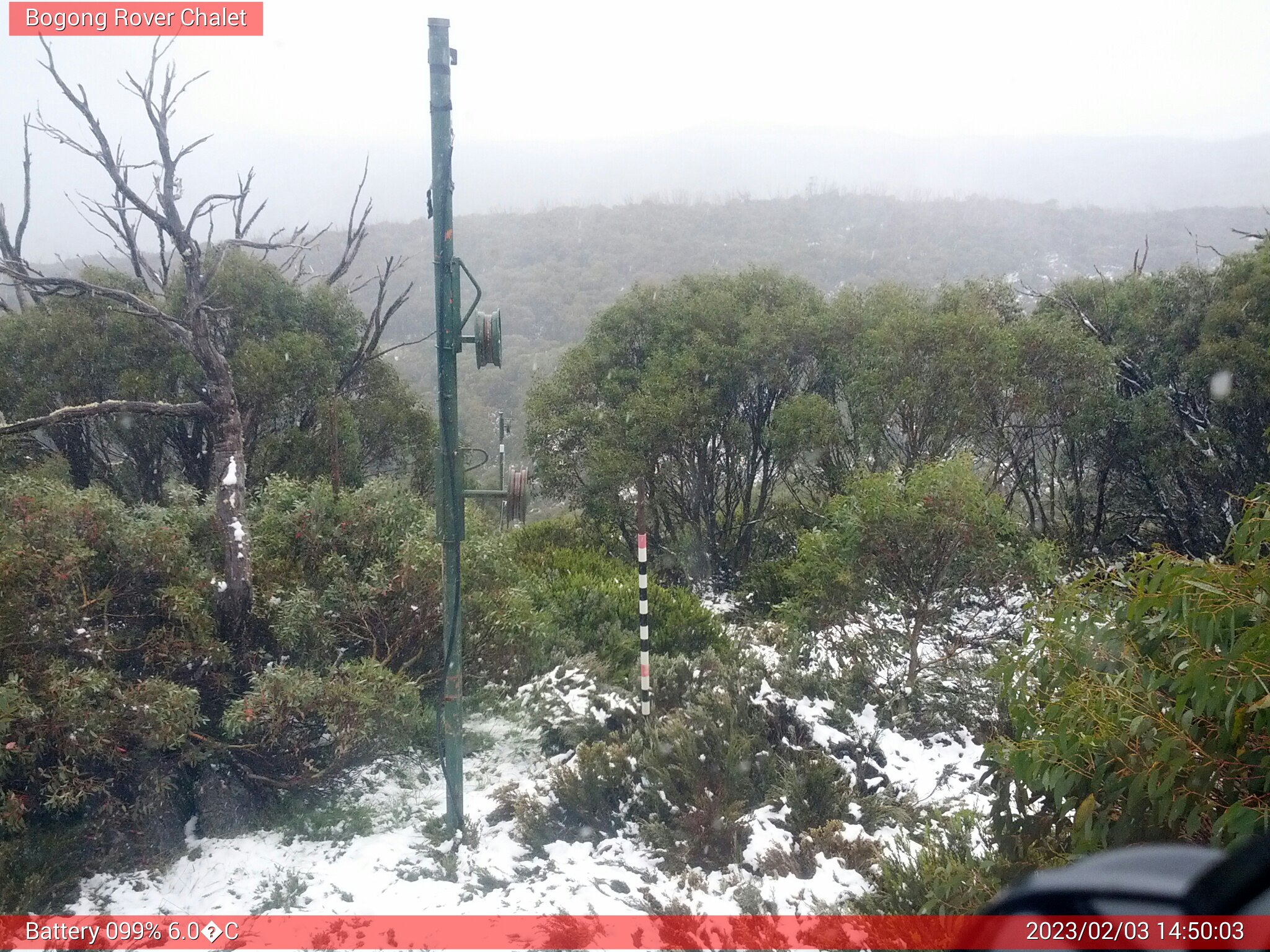 Bogong Web Cam 2:50pm Friday 3rd of February 2023