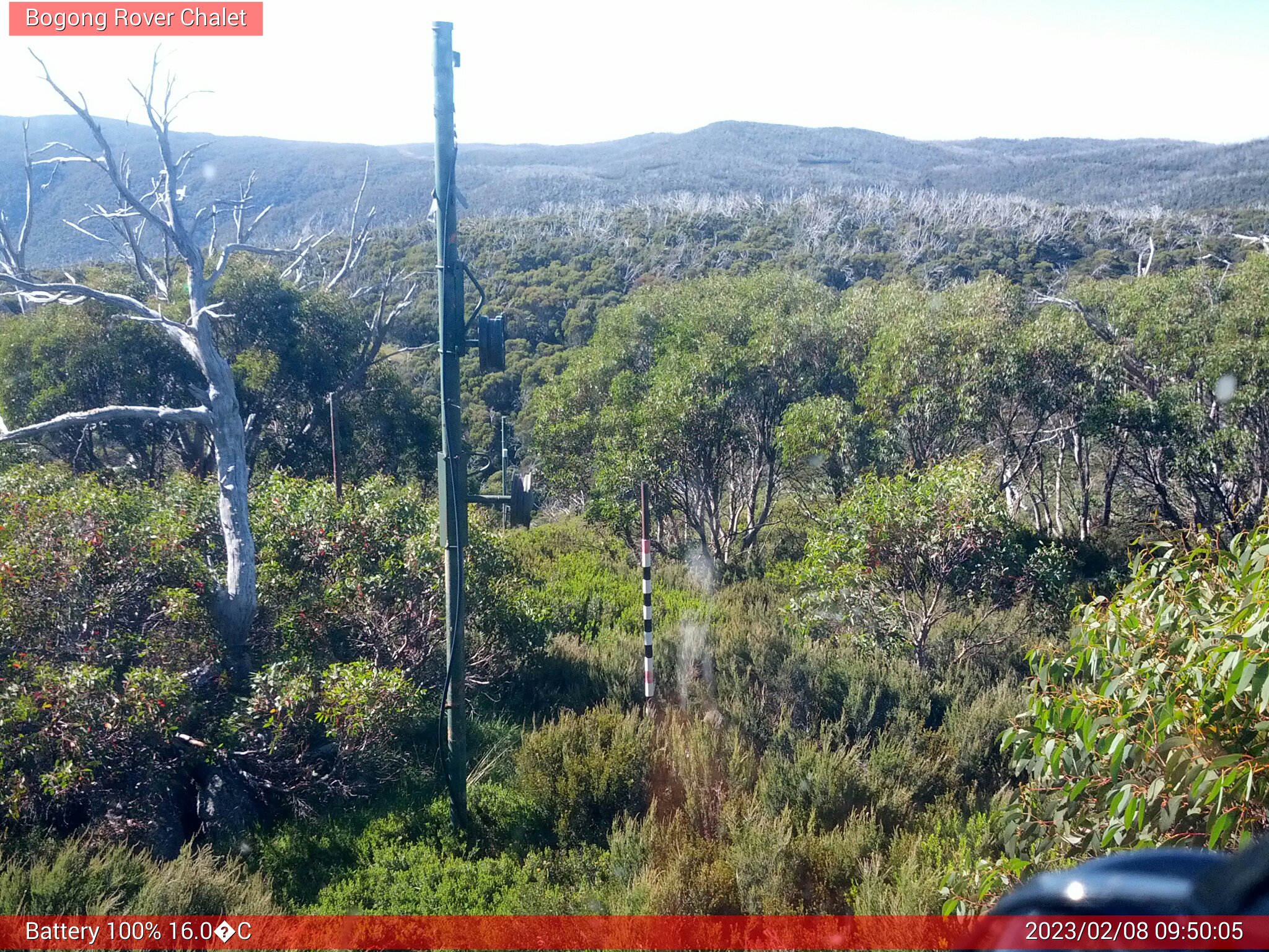 Bogong Web Cam 9:50am Wednesday 8th of February 2023