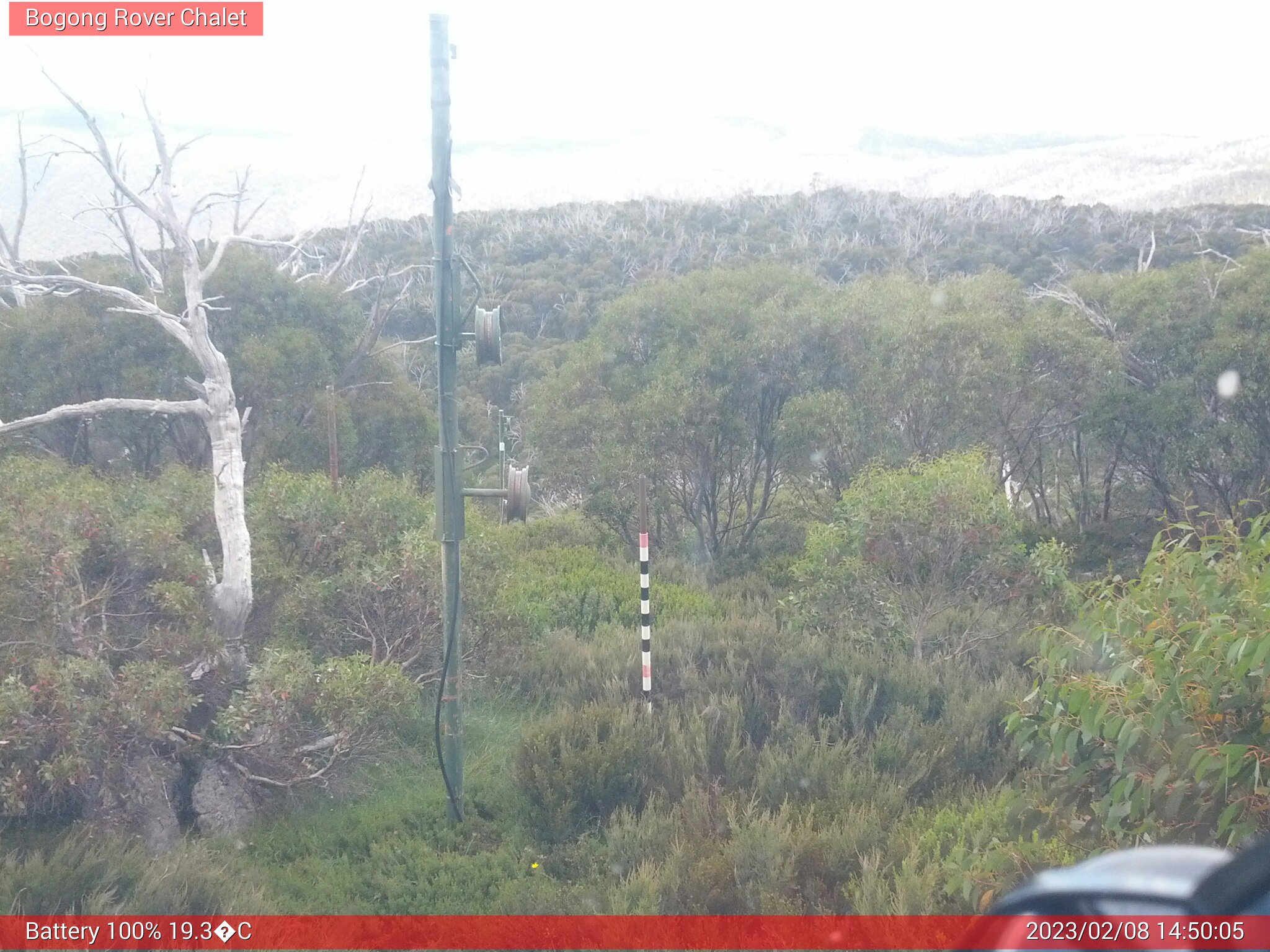 Bogong Web Cam 2:50pm Wednesday 8th of February 2023