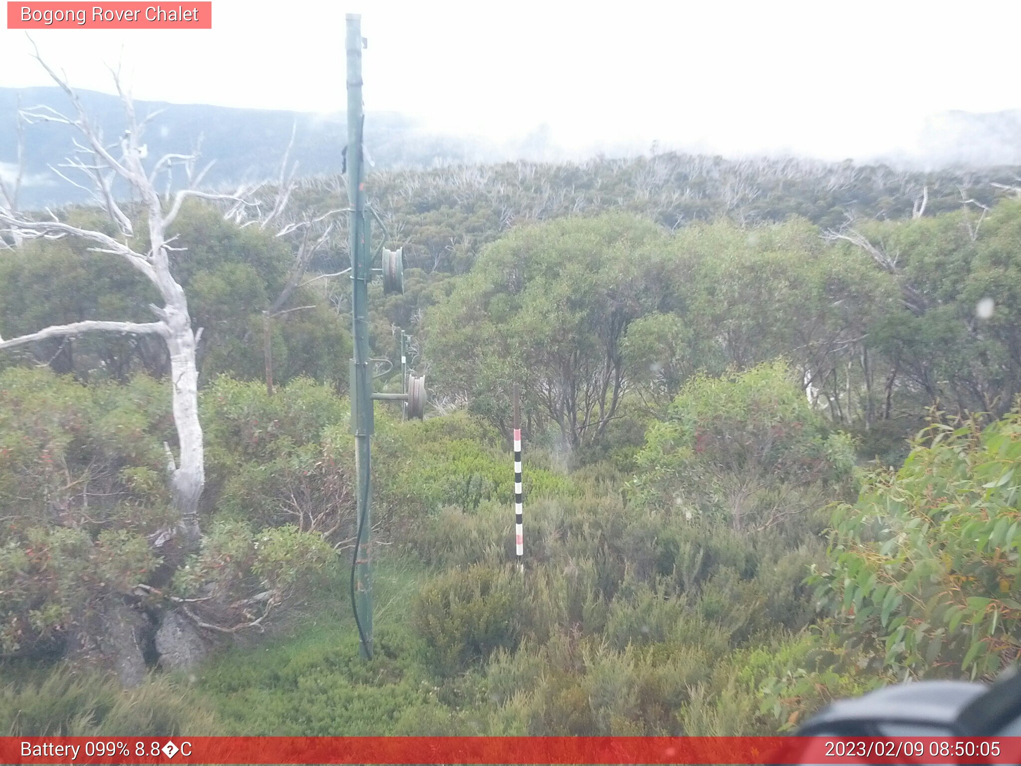 Bogong Web Cam 8:50am Thursday 9th of February 2023