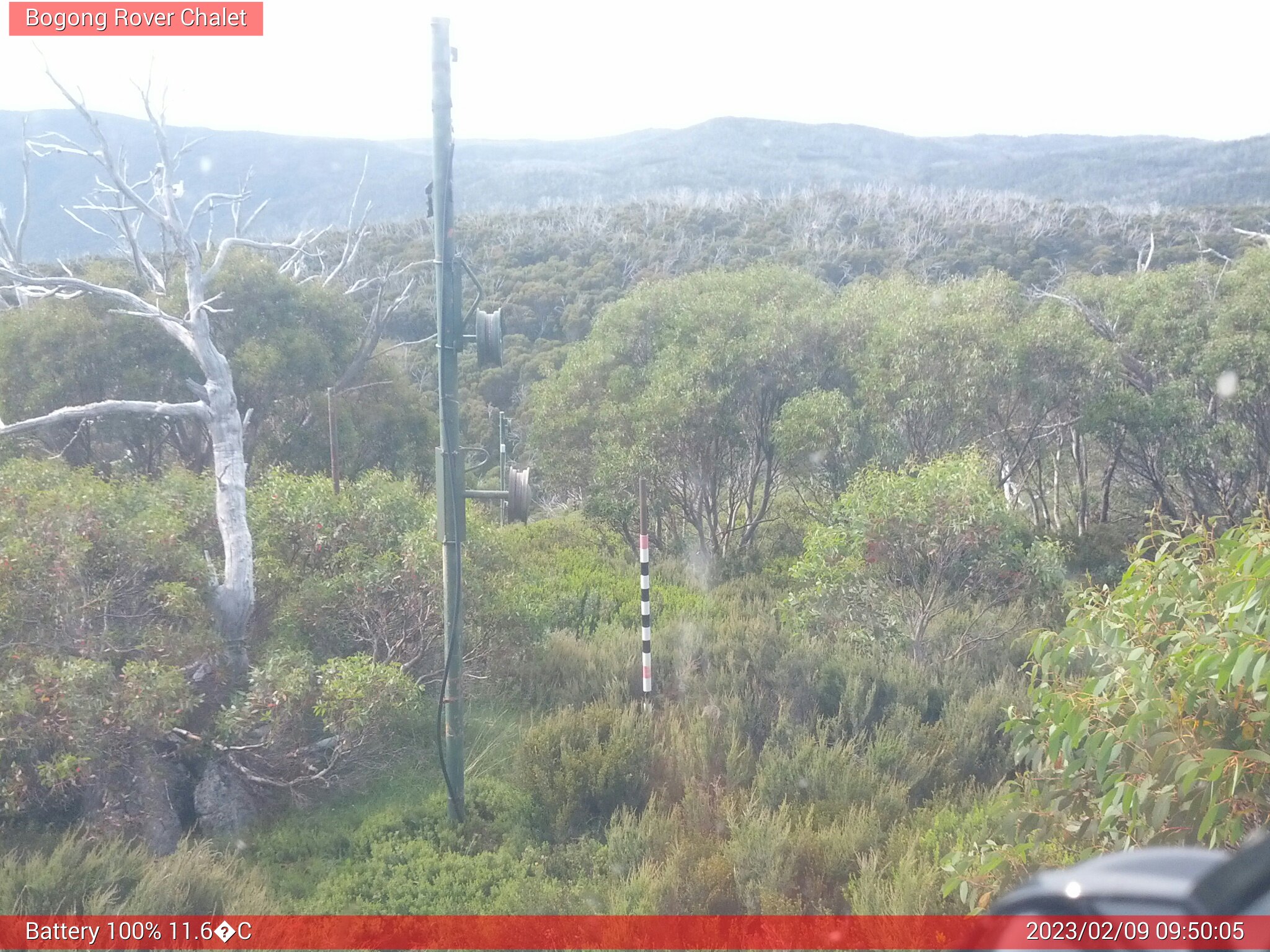 Bogong Web Cam 9:50am Thursday 9th of February 2023