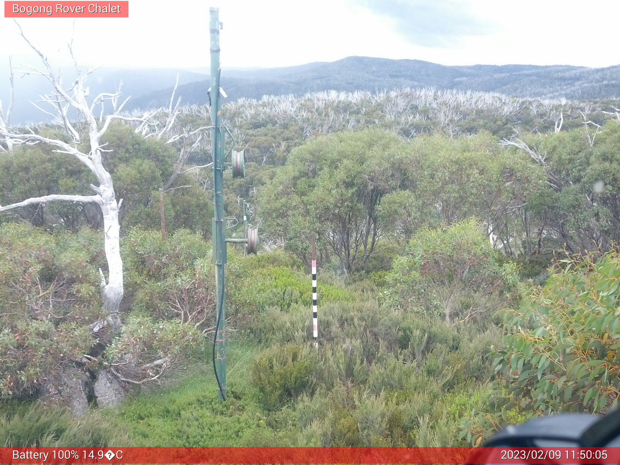 Bogong Web Cam 11:50am Thursday 9th of February 2023