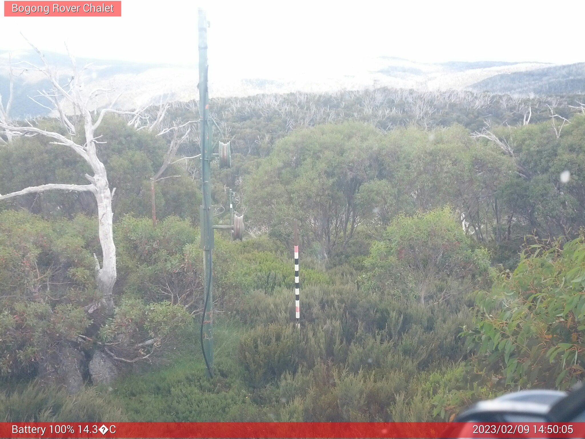 Bogong Web Cam 2:50pm Thursday 9th of February 2023