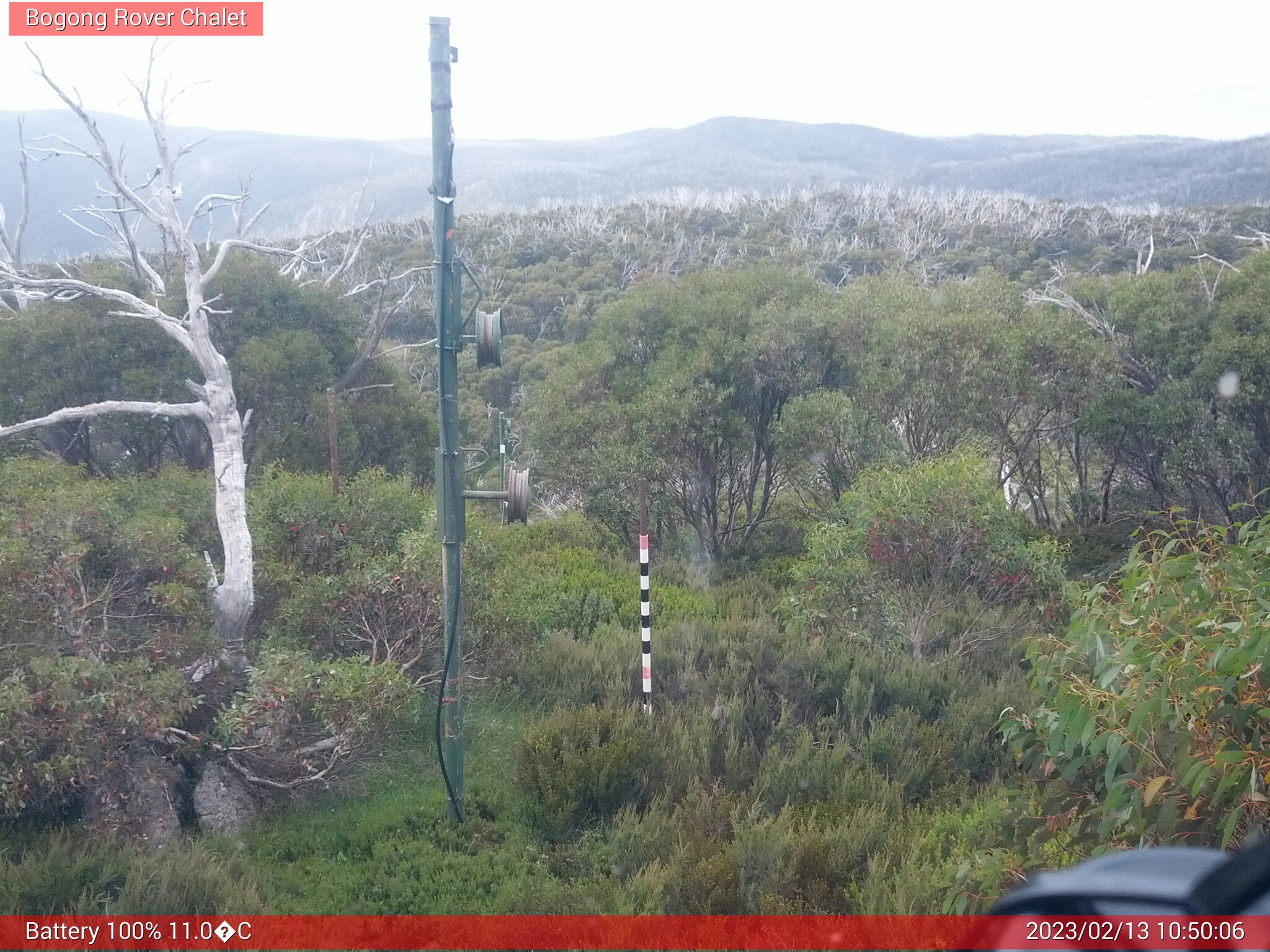 Bogong Web Cam 10:50am Monday 13th of February 2023