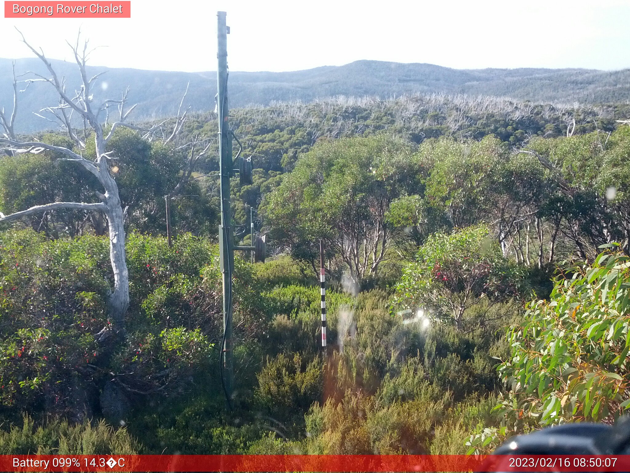 Bogong Web Cam 8:50am Thursday 16th of February 2023