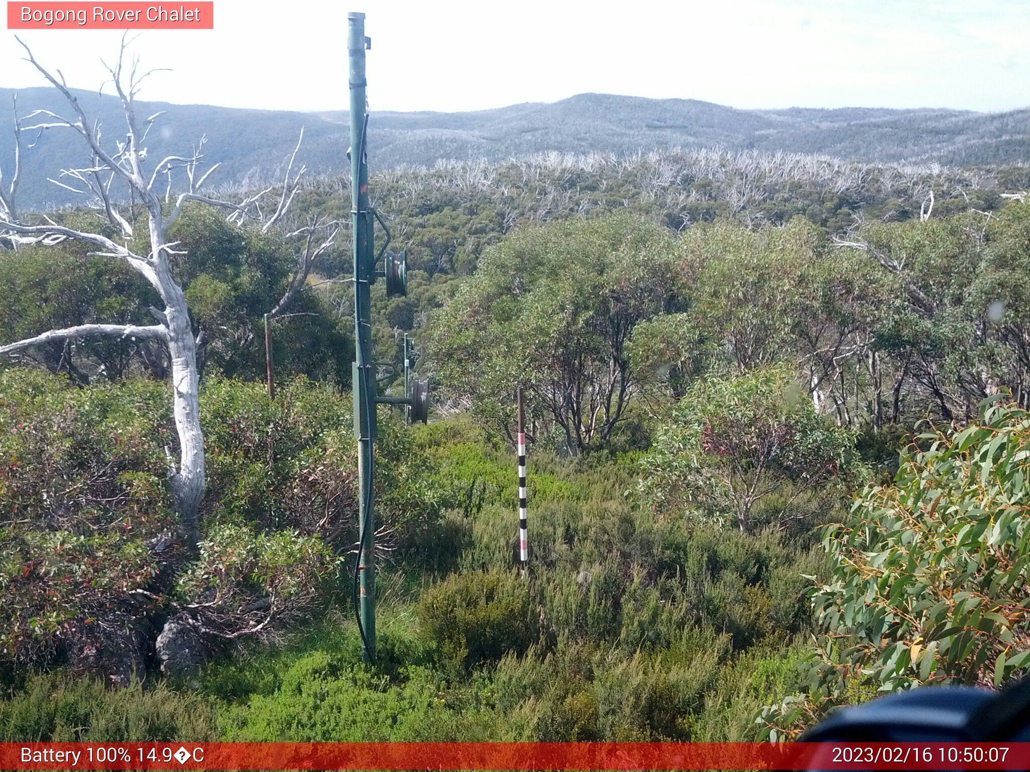 Bogong Web Cam 10:50am Thursday 16th of February 2023