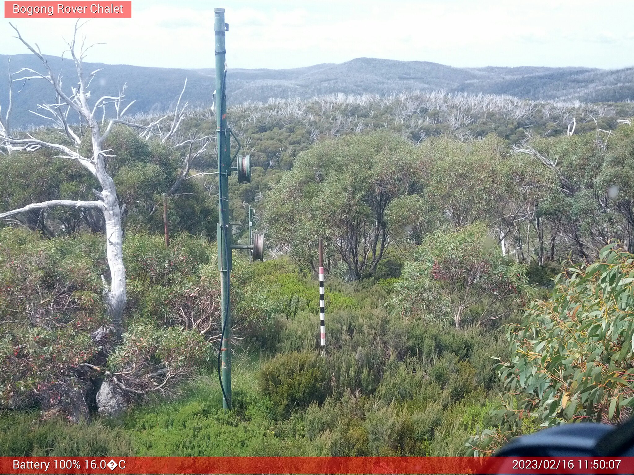 Bogong Web Cam 11:50am Thursday 16th of February 2023