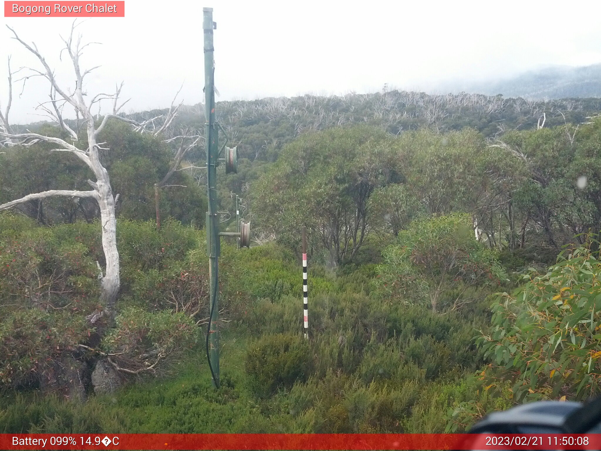 Bogong Web Cam 11:50am Tuesday 21st of February 2023