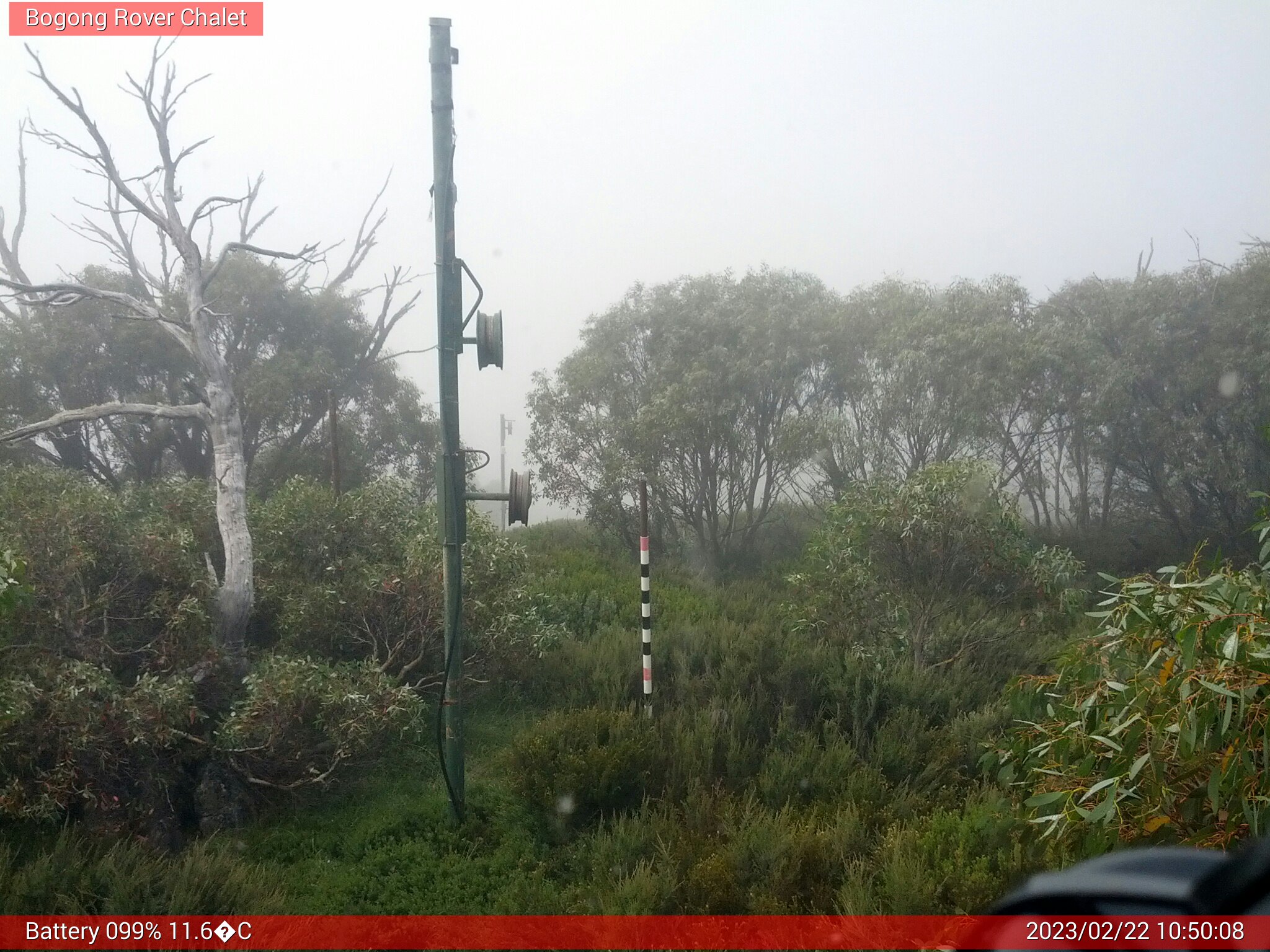 Bogong Web Cam 10:50am Wednesday 22nd of February 2023