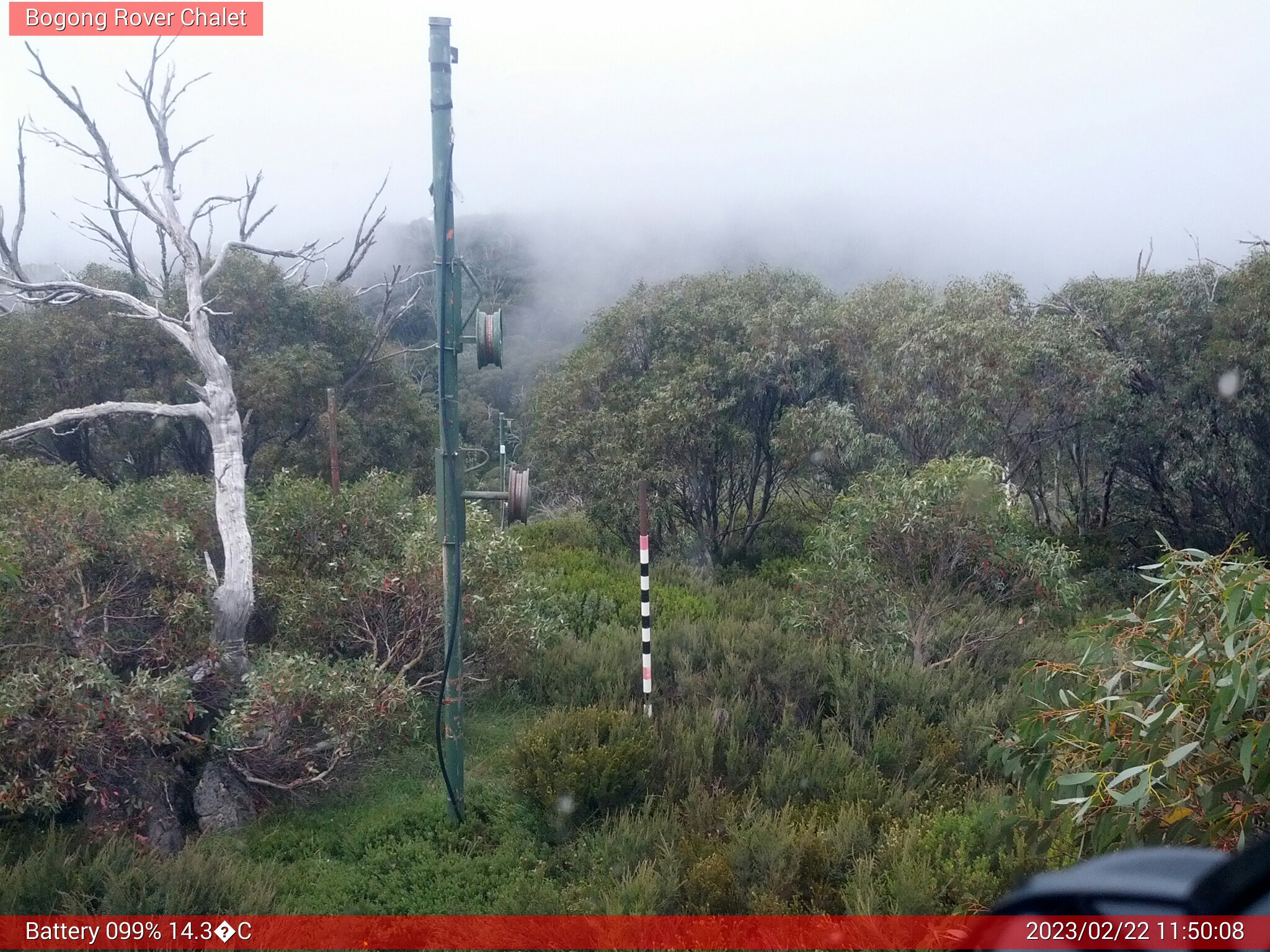 Bogong Web Cam 11:50am Wednesday 22nd of February 2023