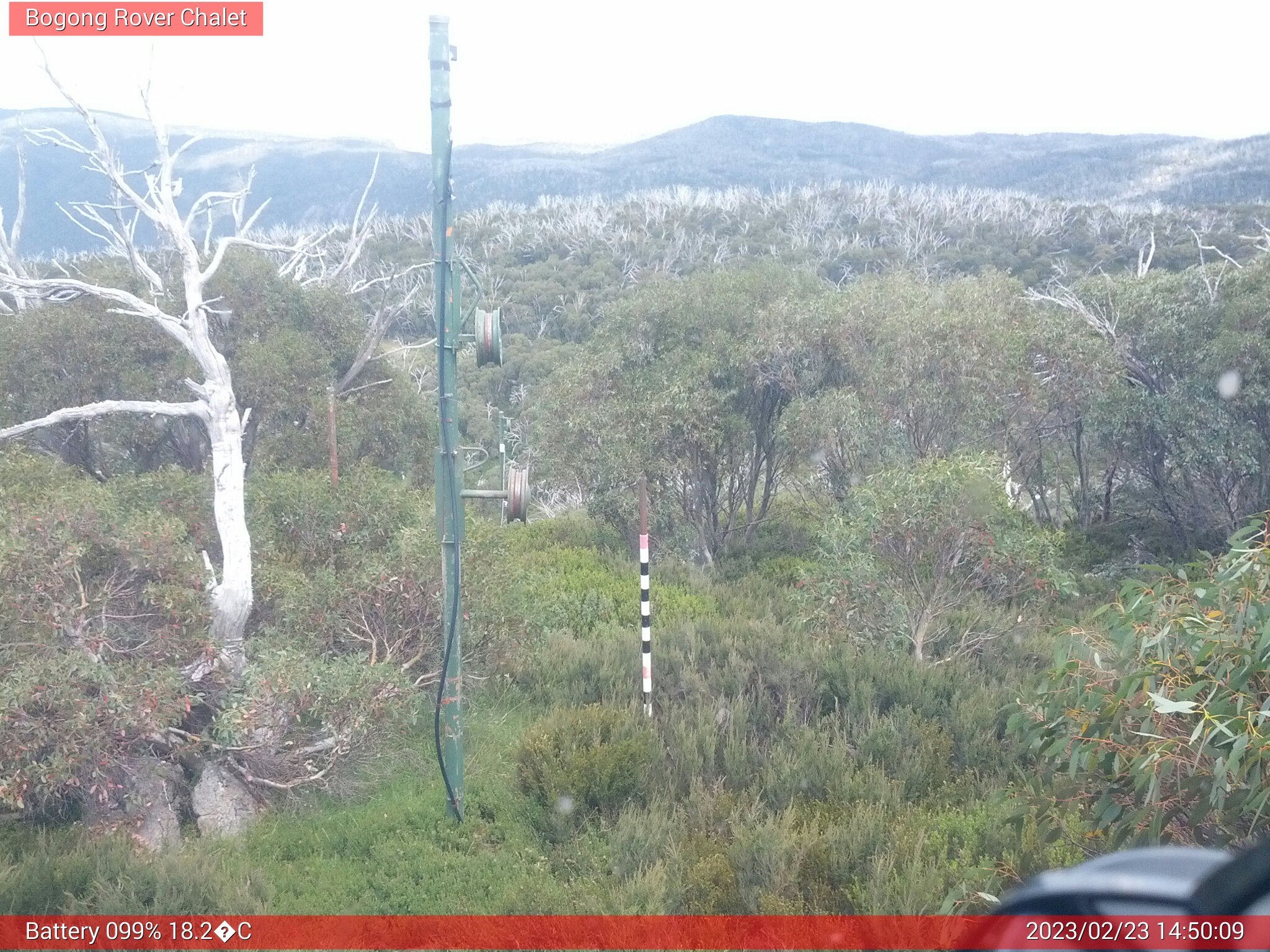 Bogong Web Cam 2:50pm Thursday 23rd of February 2023