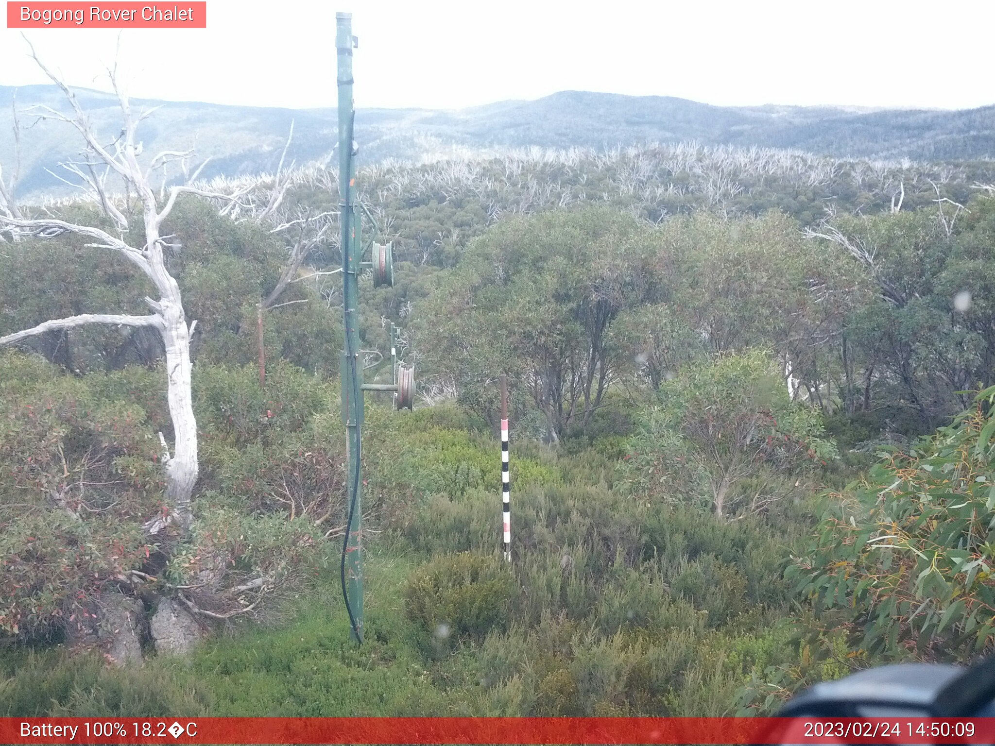 Bogong Web Cam 2:50pm Friday 24th of February 2023