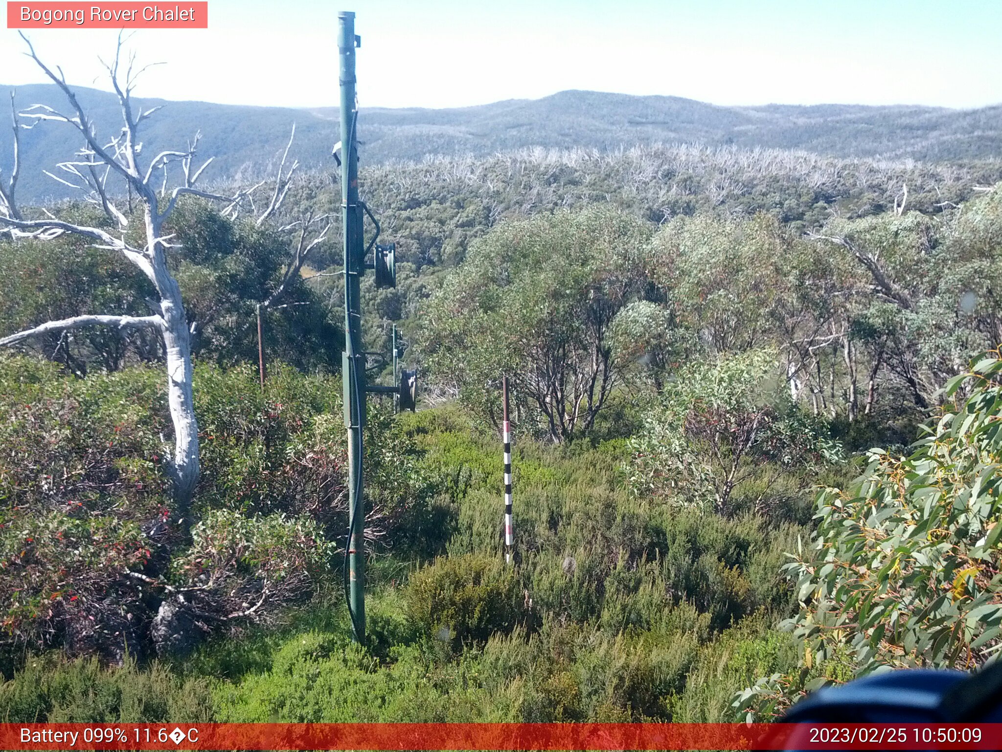 Bogong Web Cam 10:50am Saturday 25th of February 2023