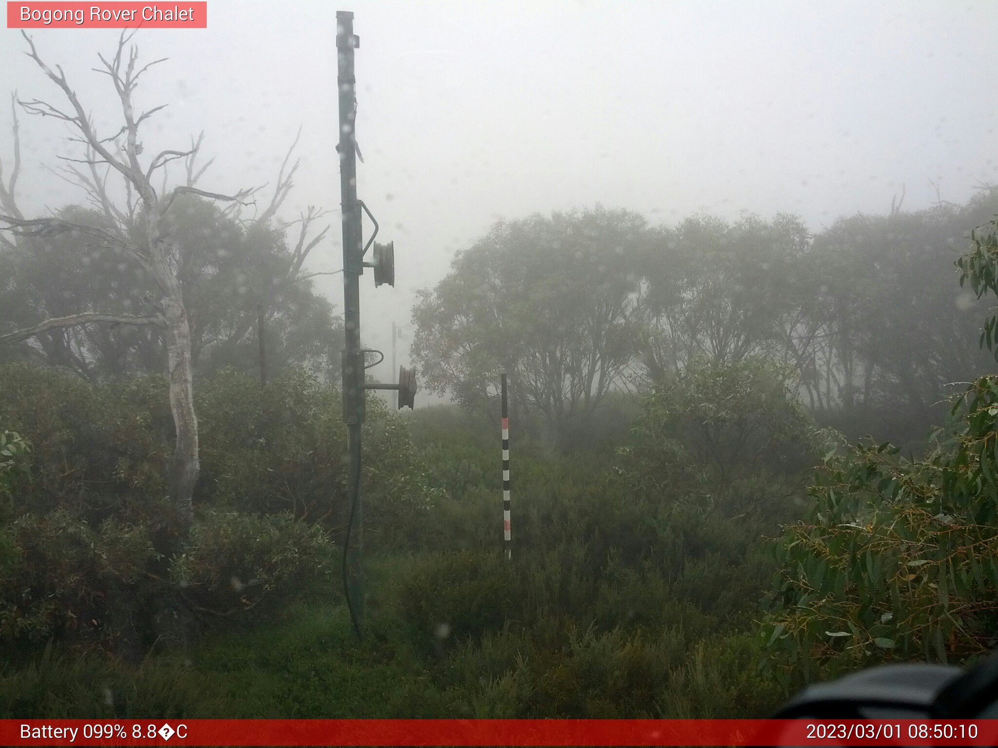 Bogong Web Cam 8:50am Wednesday 1st of March 2023