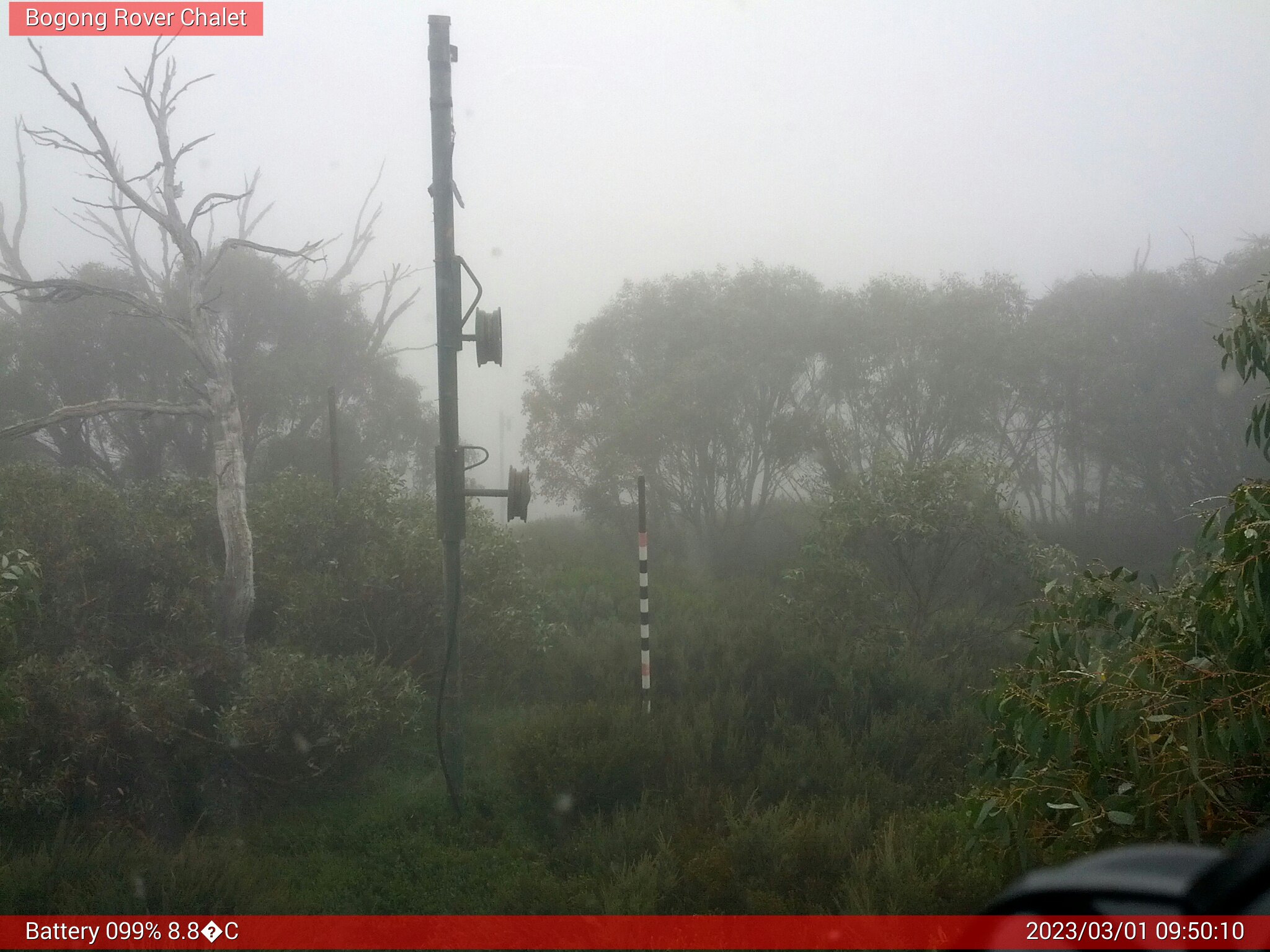 Bogong Web Cam 9:50am Wednesday 1st of March 2023