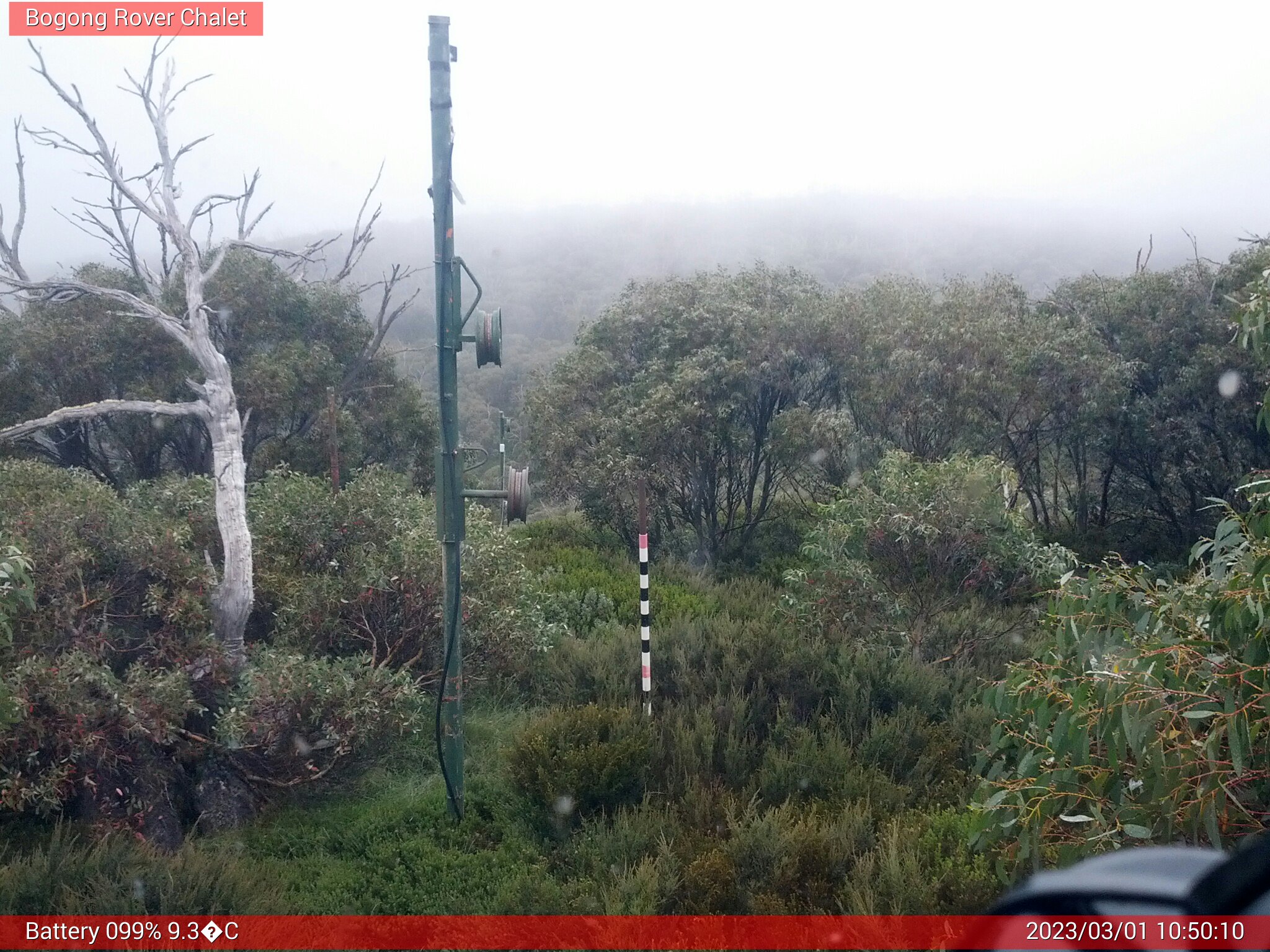 Bogong Web Cam 10:50am Wednesday 1st of March 2023