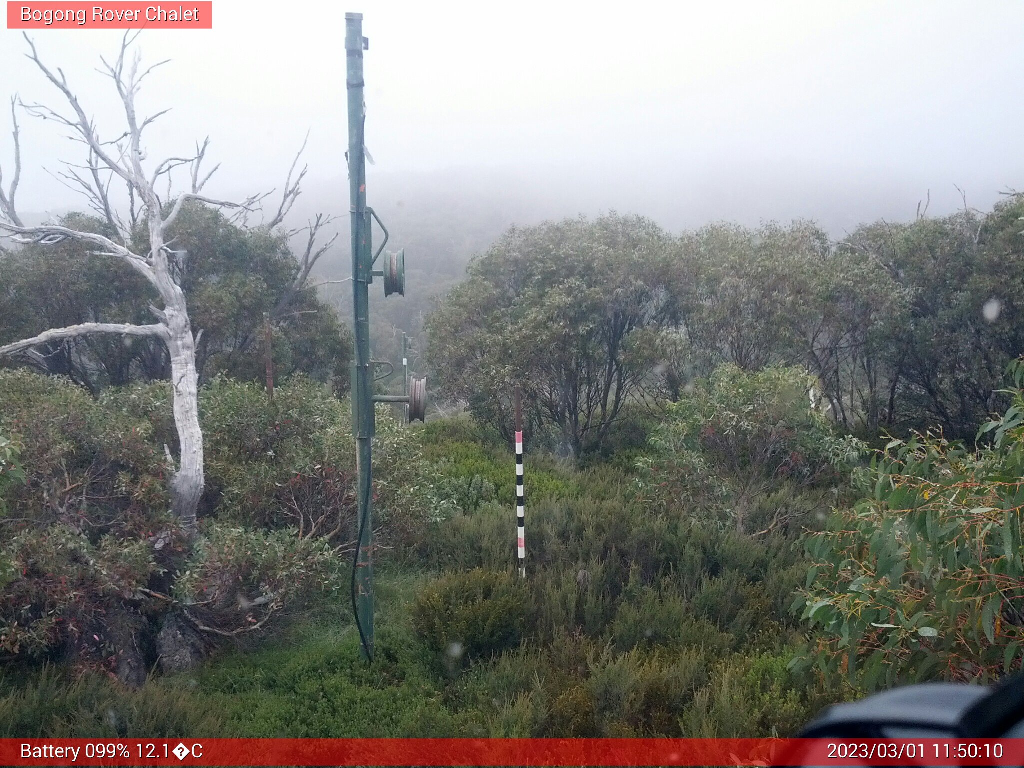 Bogong Web Cam 11:50am Wednesday 1st of March 2023