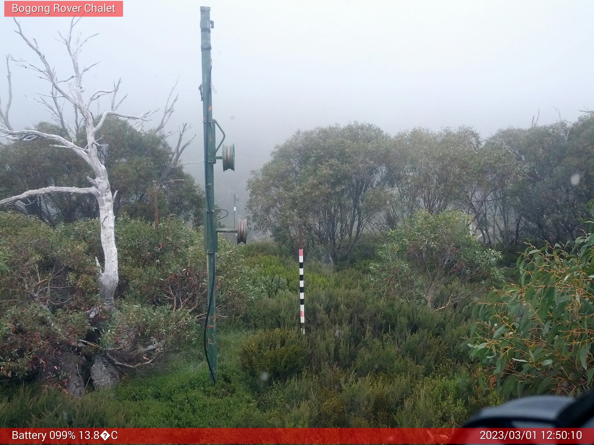 Bogong Web Cam 12:50pm Wednesday 1st of March 2023