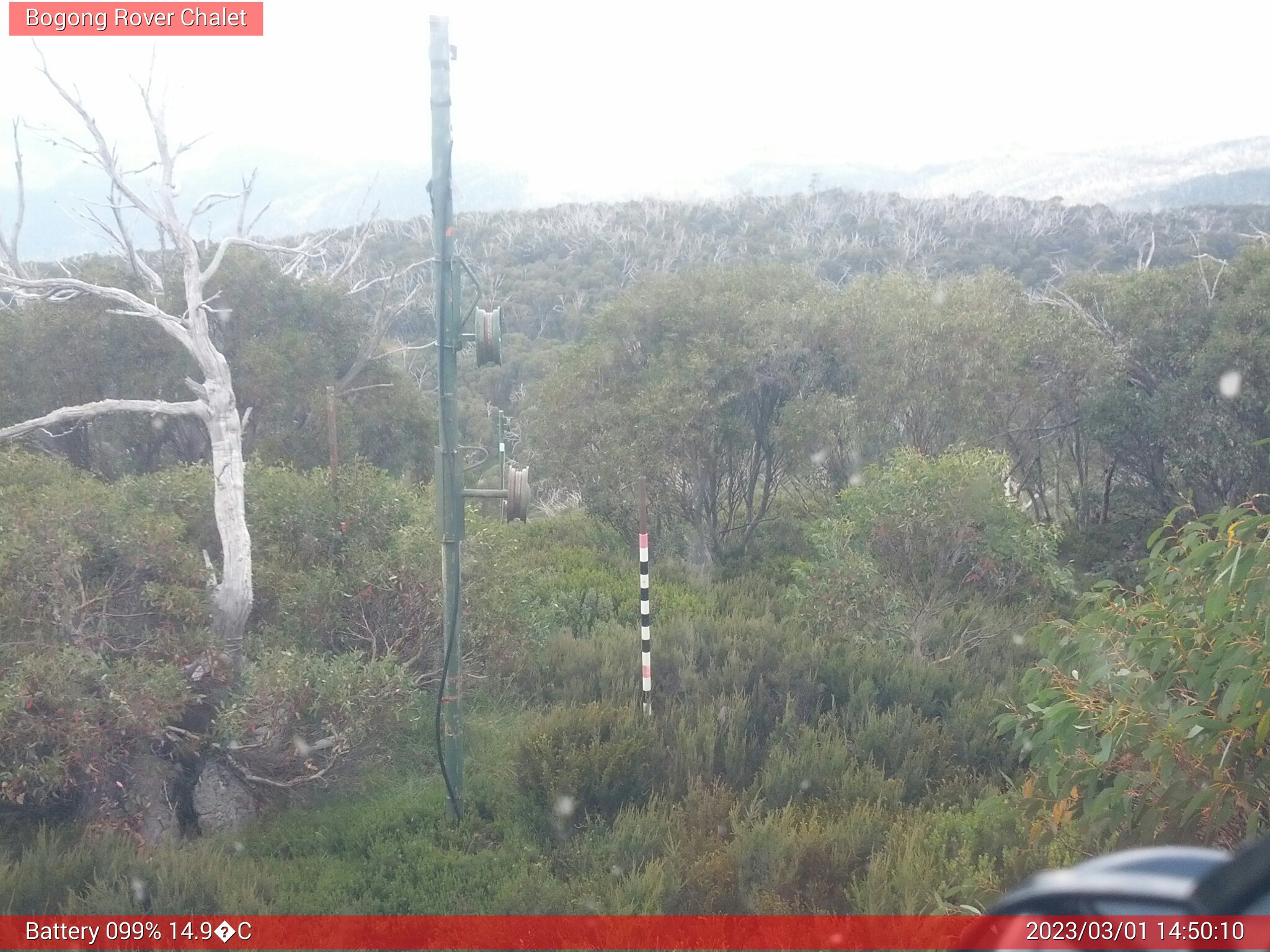 Bogong Web Cam 2:50pm Wednesday 1st of March 2023