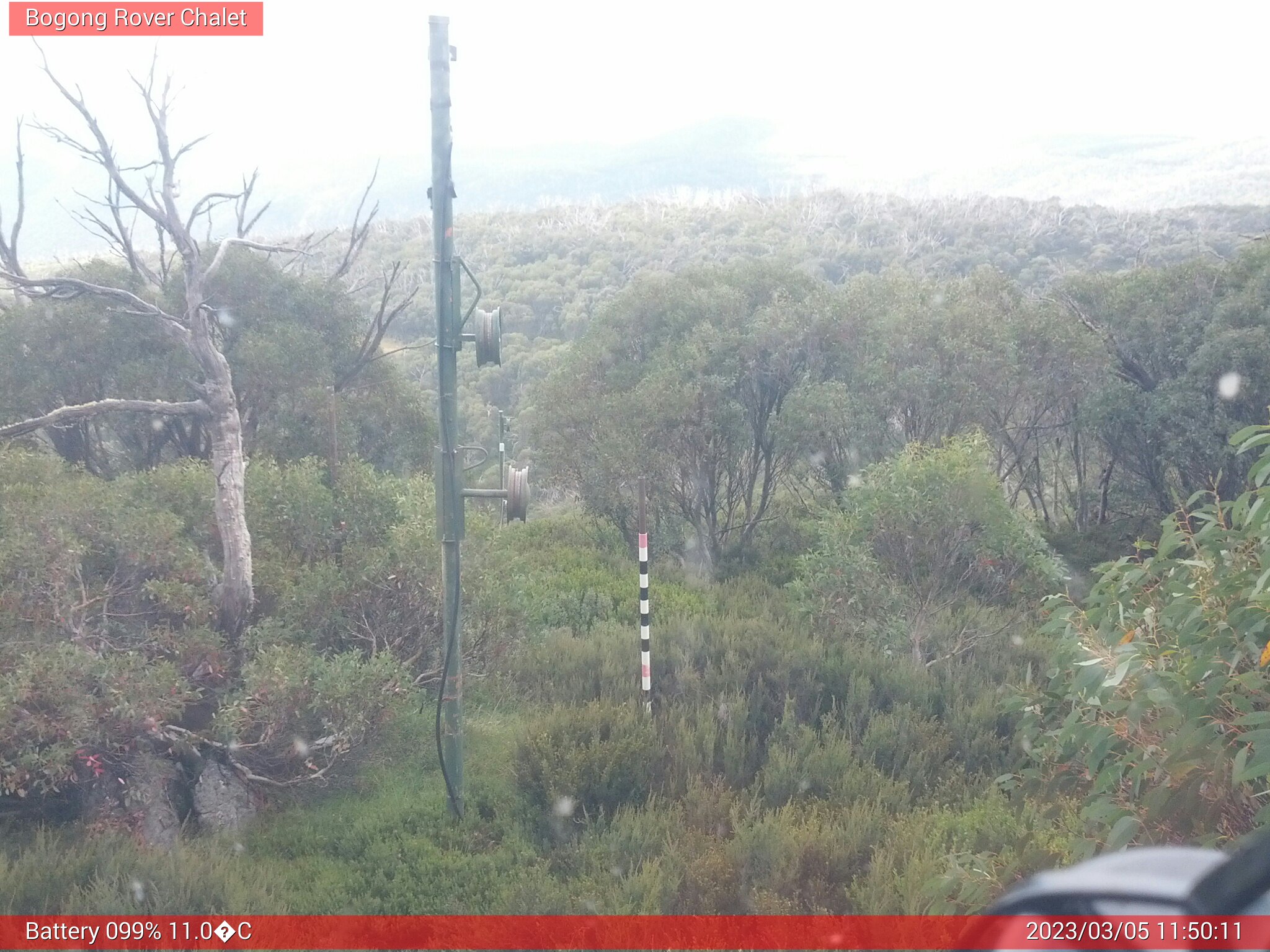 Bogong Web Cam 11:50am Sunday 5th of March 2023