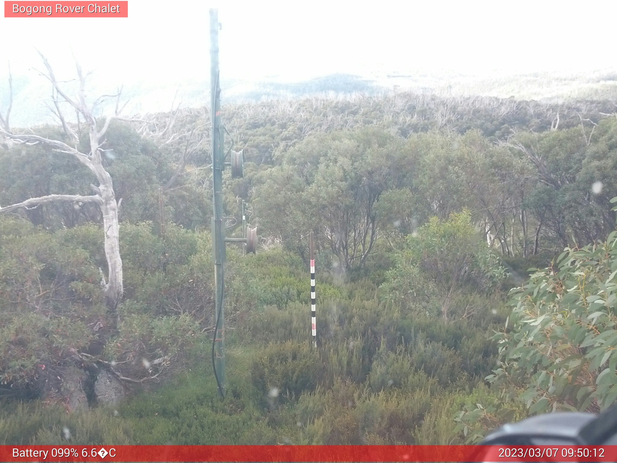 Bogong Web Cam 9:50am Tuesday 7th of March 2023