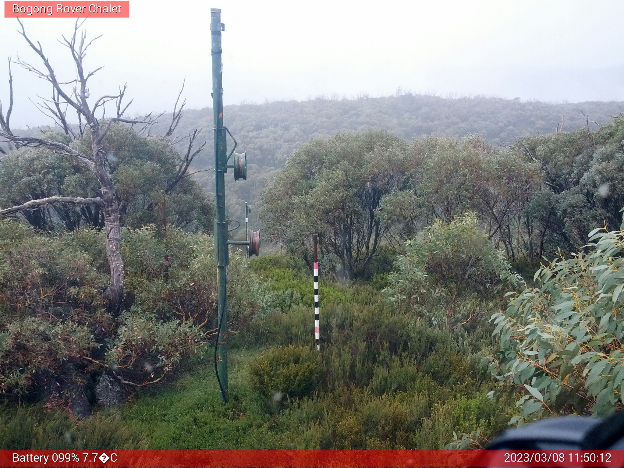 Bogong Web Cam 11:50am Wednesday 8th of March 2023