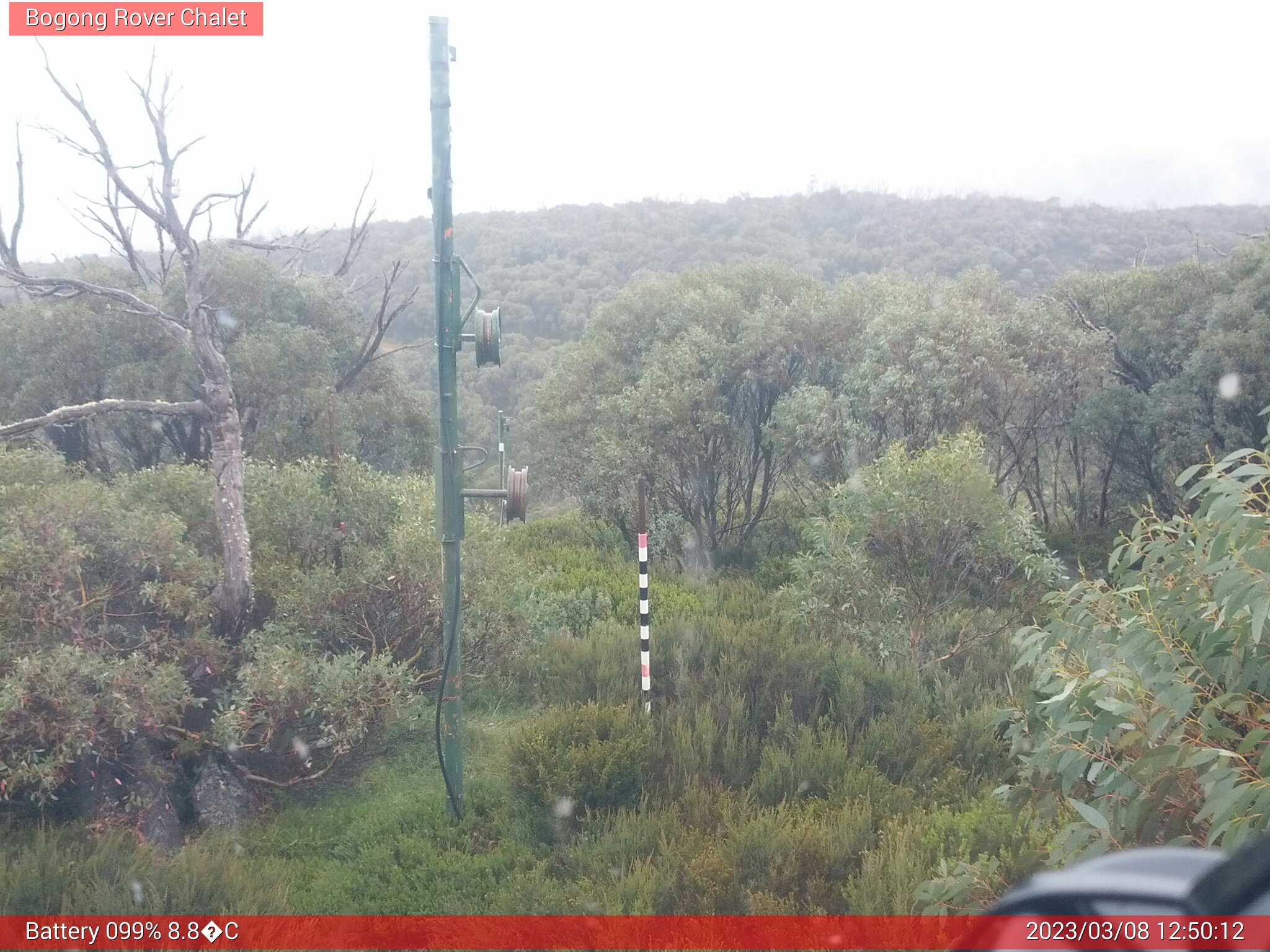 Bogong Web Cam 12:50pm Wednesday 8th of March 2023