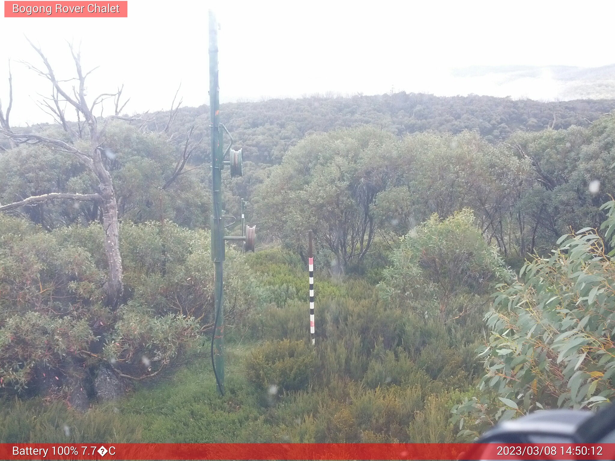 Bogong Web Cam 2:50pm Wednesday 8th of March 2023