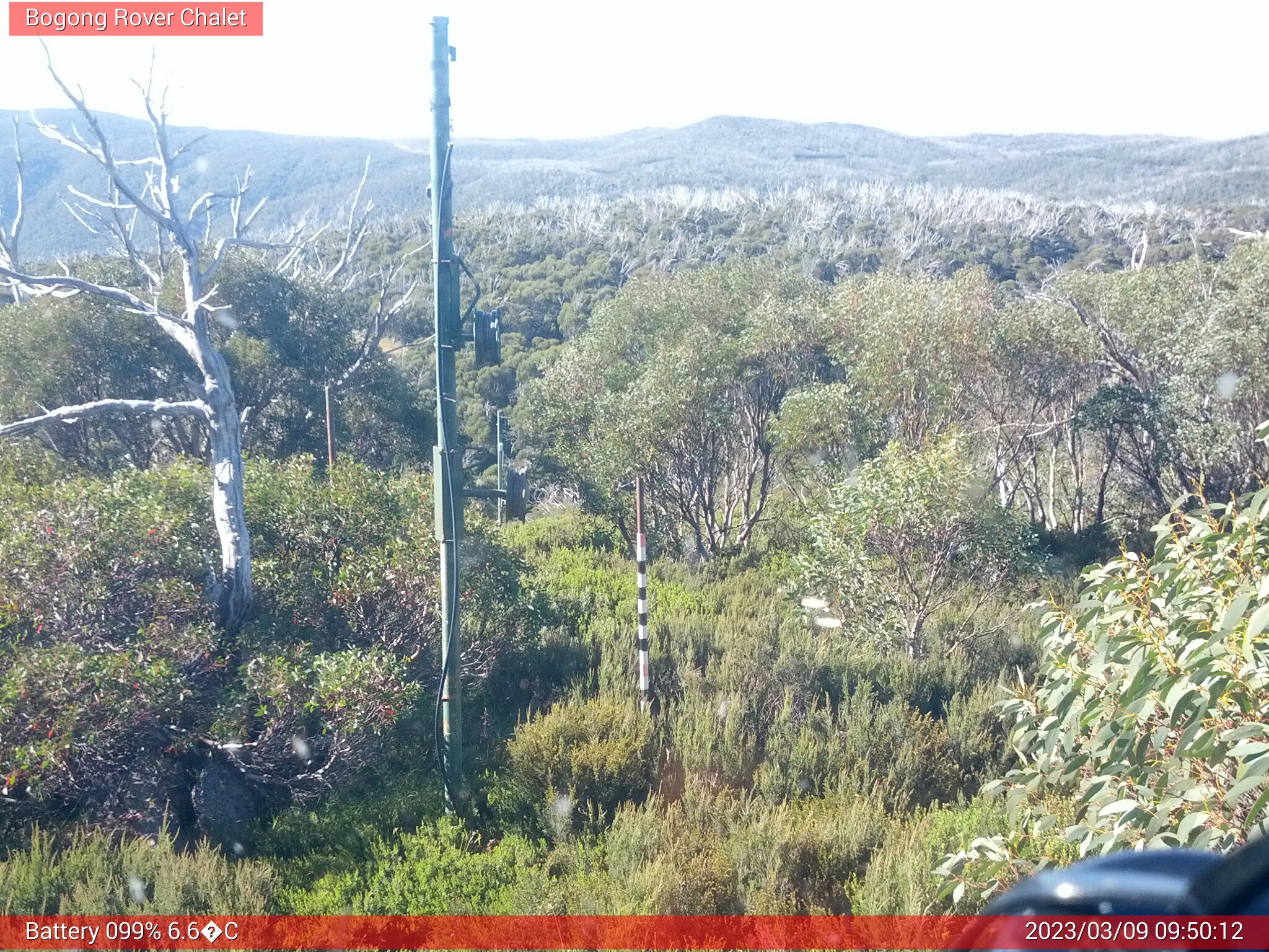 Bogong Web Cam 9:50am Thursday 9th of March 2023