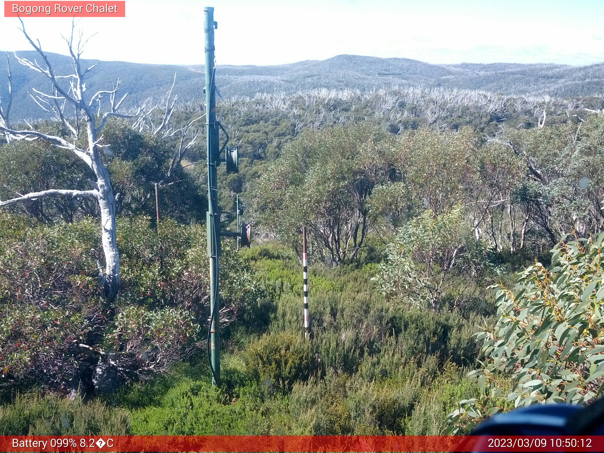 Bogong Web Cam 10:50am Thursday 9th of March 2023