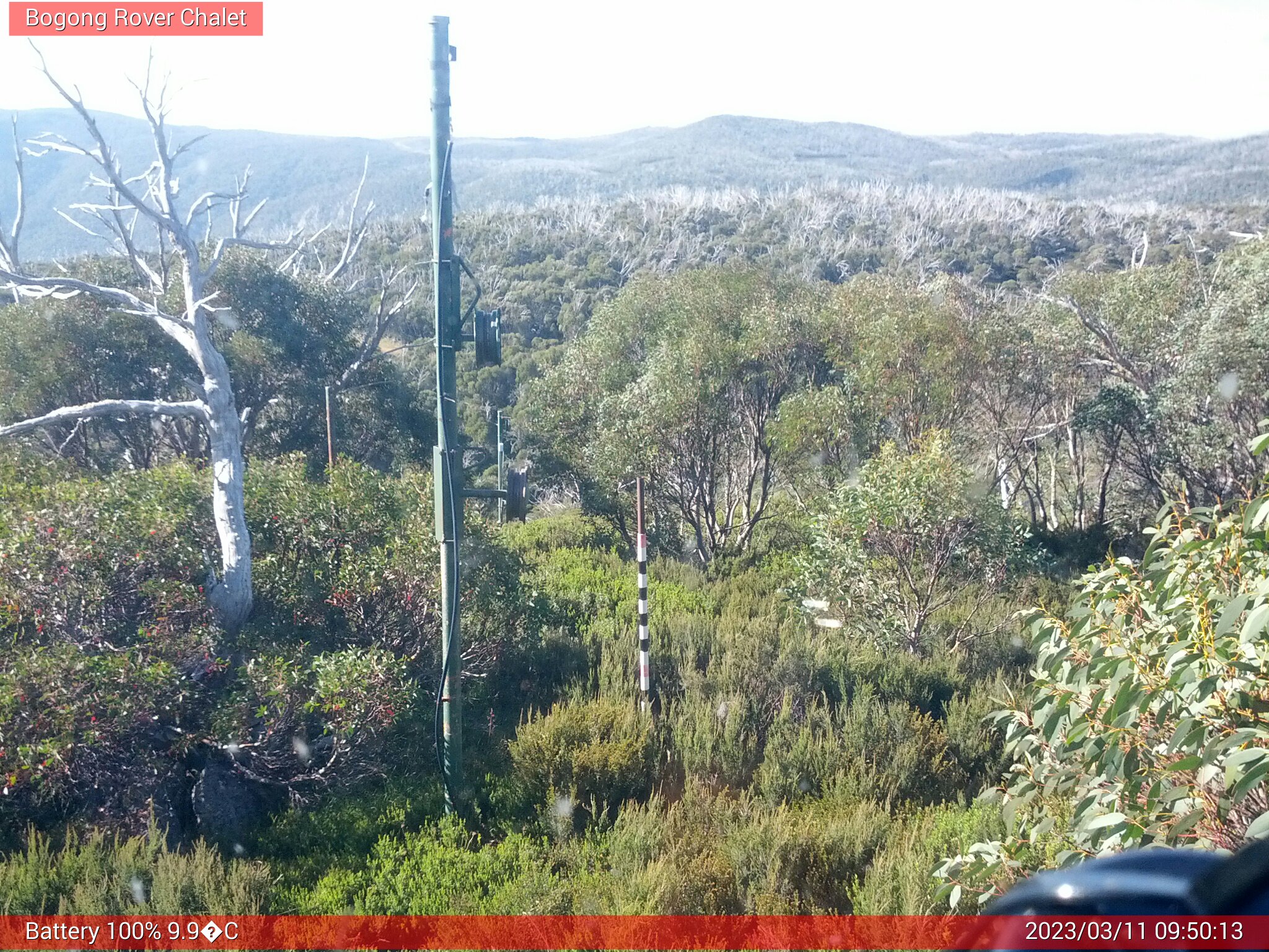 Bogong Web Cam 9:50am Saturday 11th of March 2023