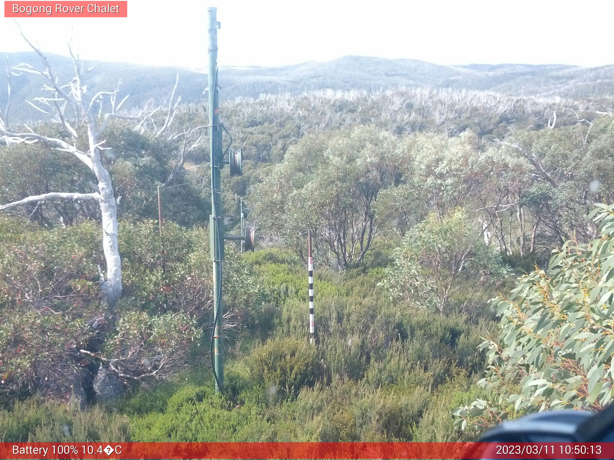 Bogong Web Cam 10:50am Saturday 11th of March 2023