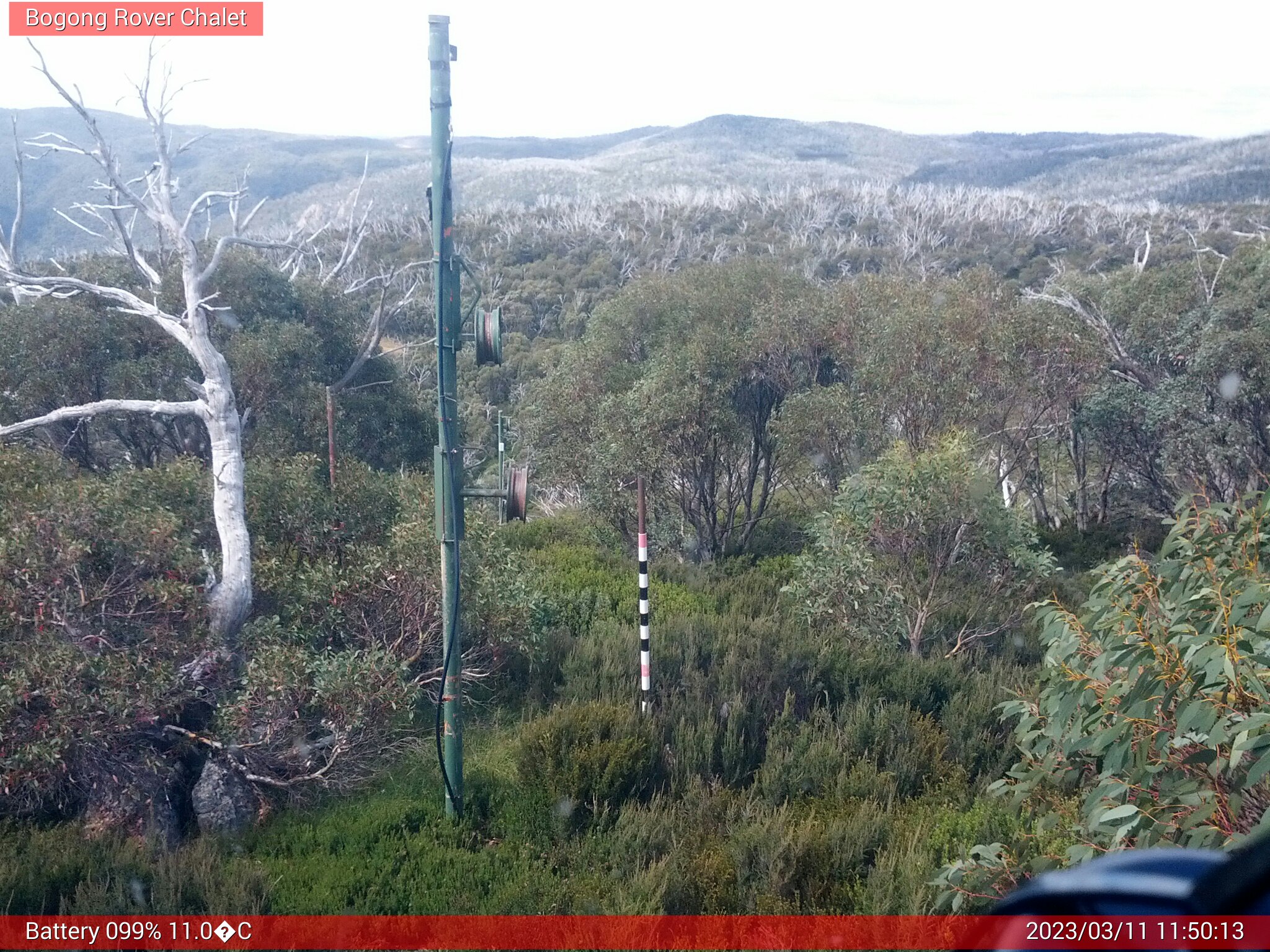 Bogong Web Cam 11:50am Saturday 11th of March 2023