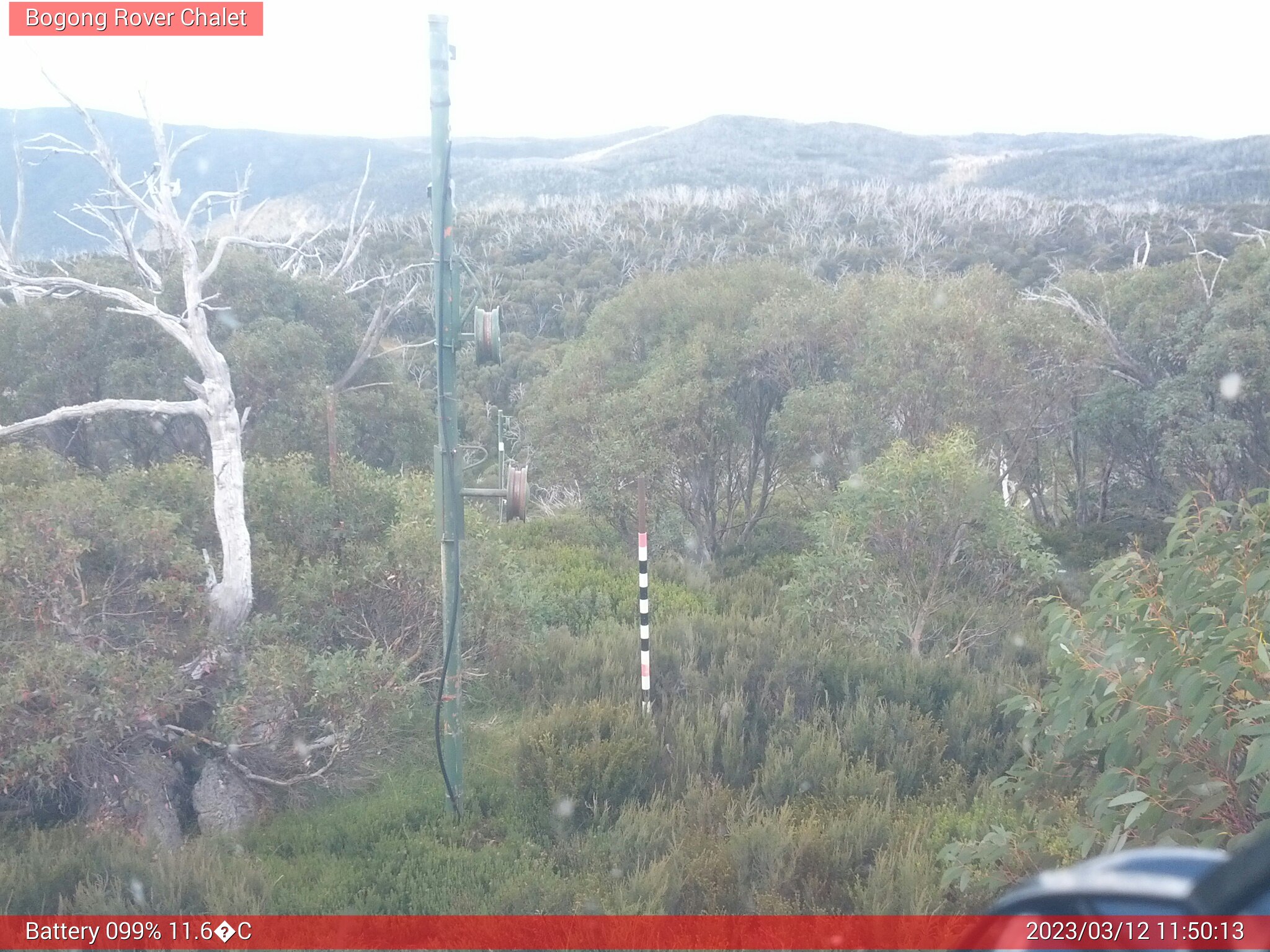 Bogong Web Cam 11:50am Sunday 12th of March 2023