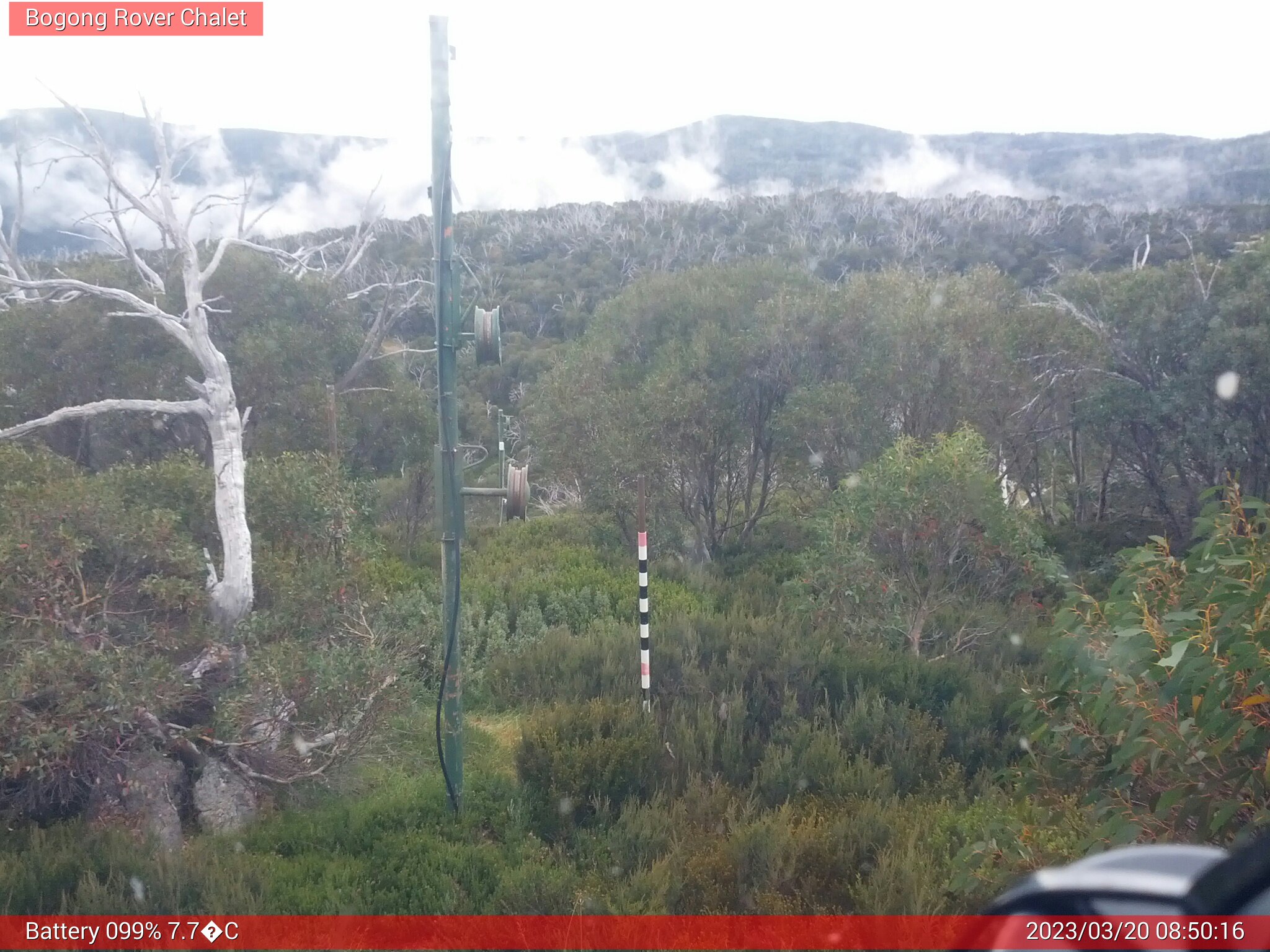 Bogong Web Cam 8:50am Monday 20th of March 2023