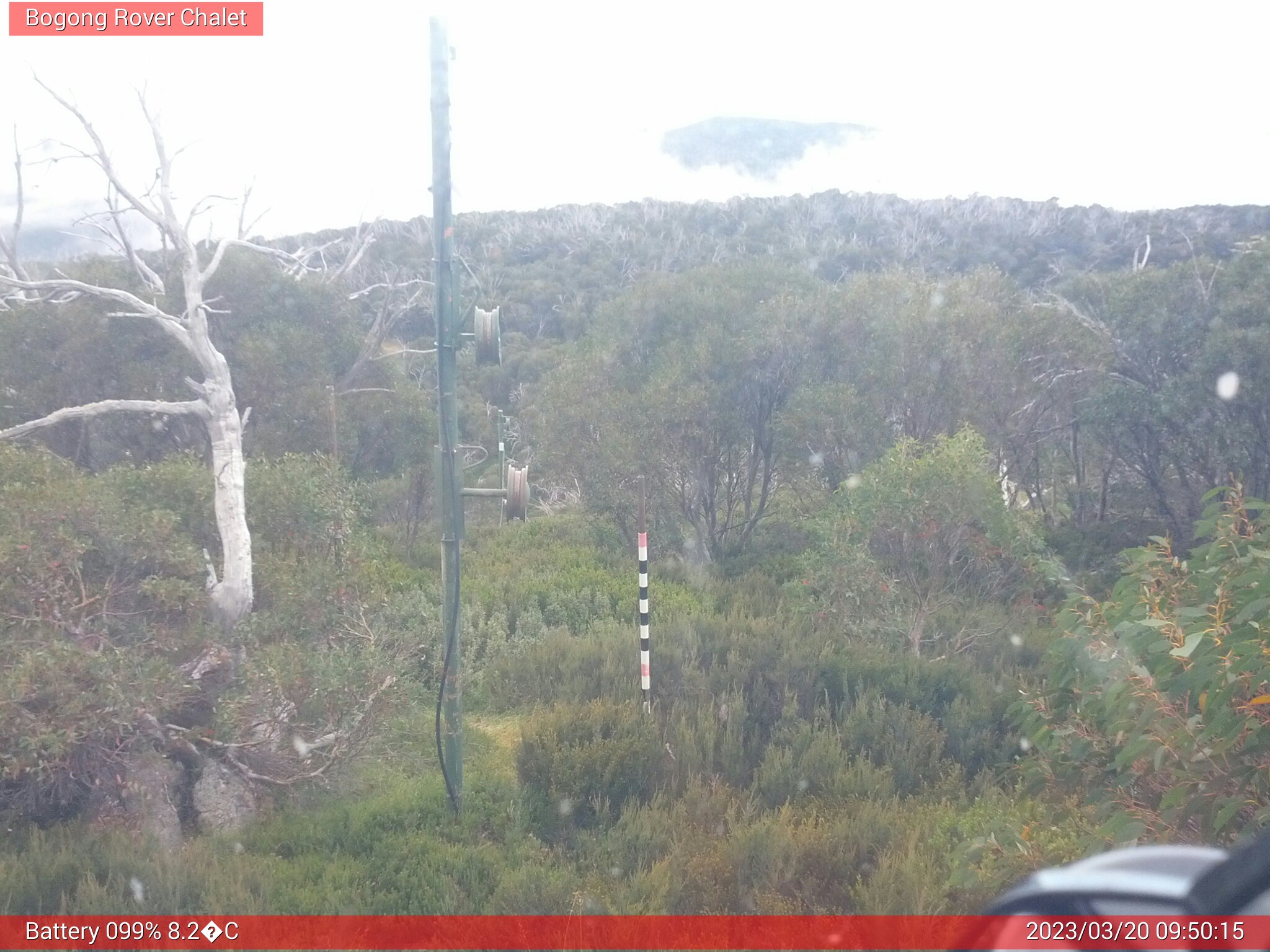 Bogong Web Cam 9:50am Monday 20th of March 2023