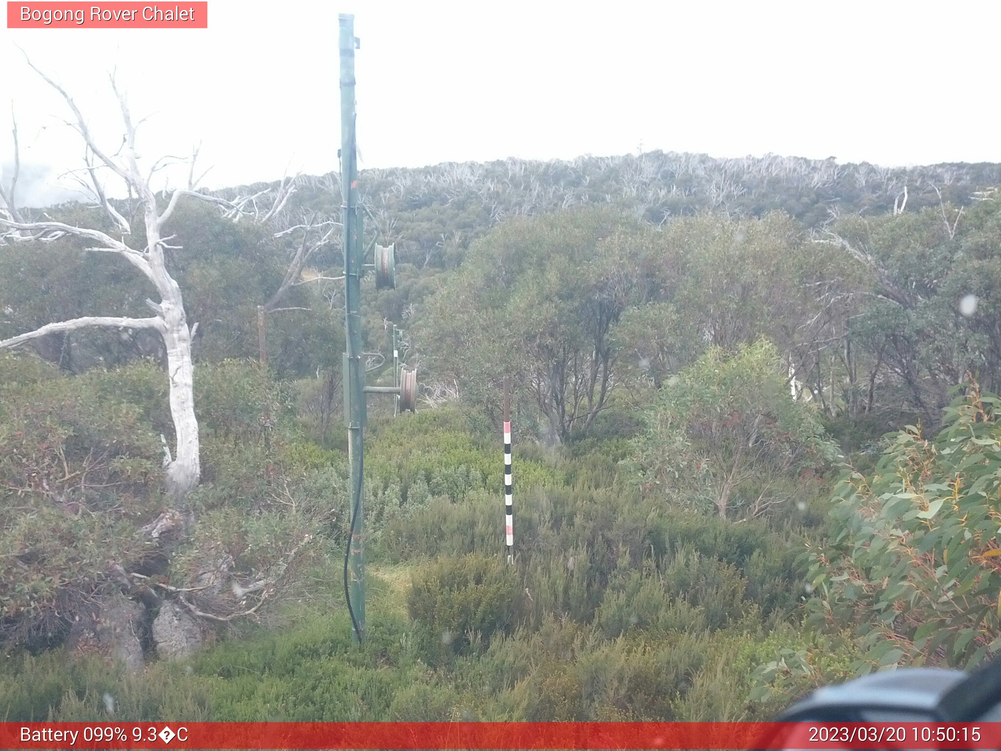 Bogong Web Cam 10:50am Monday 20th of March 2023