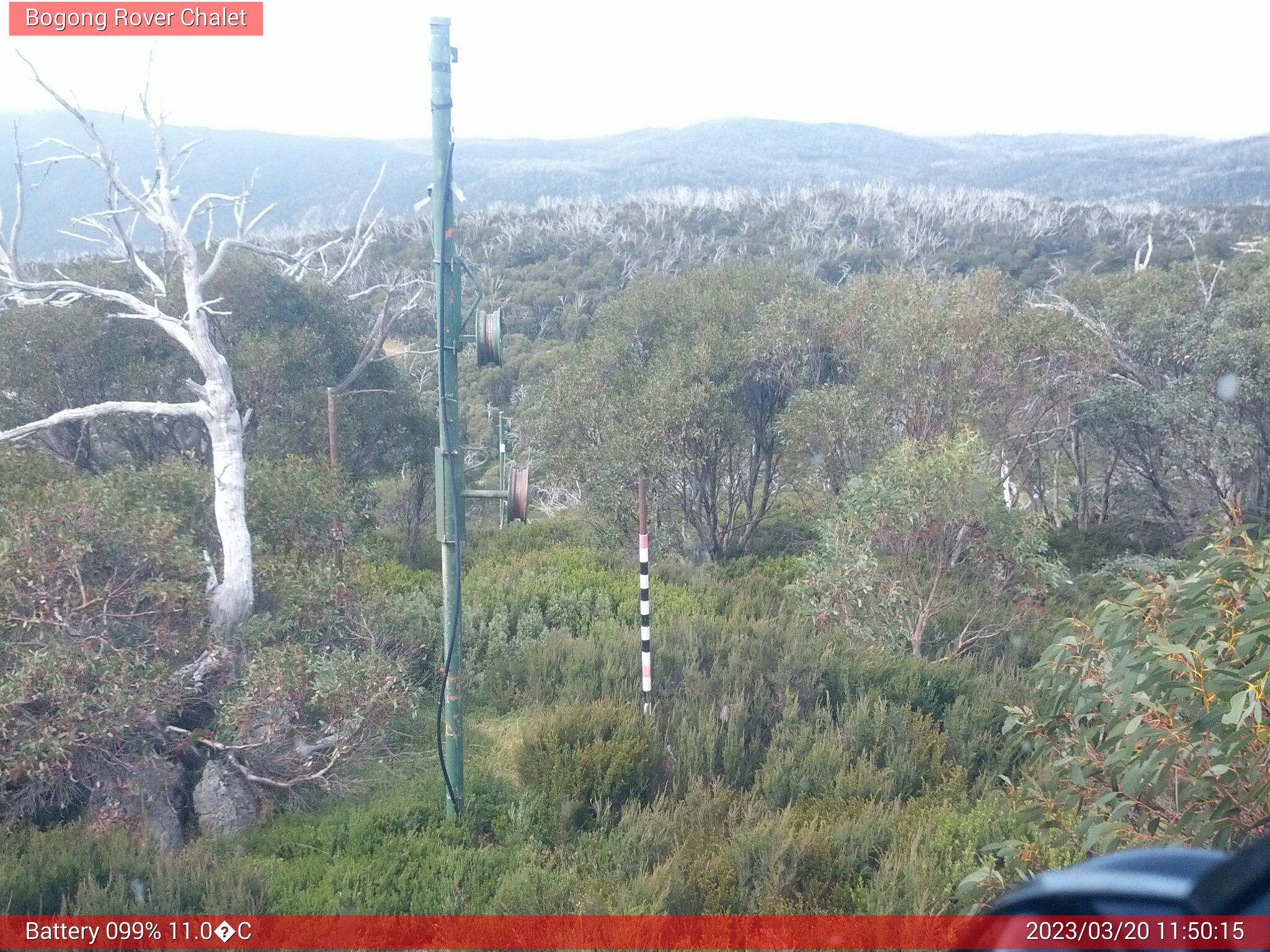 Bogong Web Cam 11:50am Monday 20th of March 2023